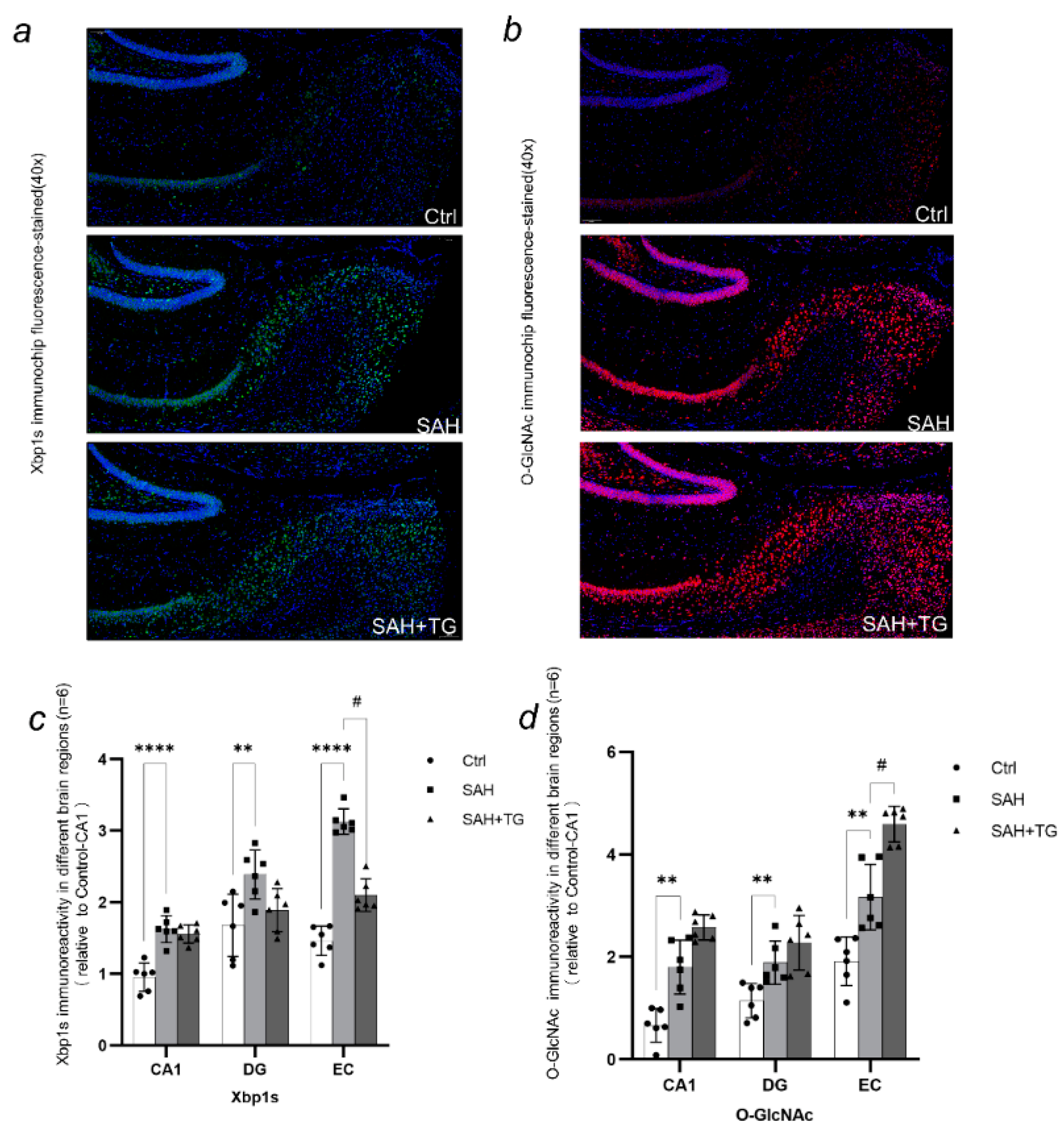 Biomedicines 11 01259 g005