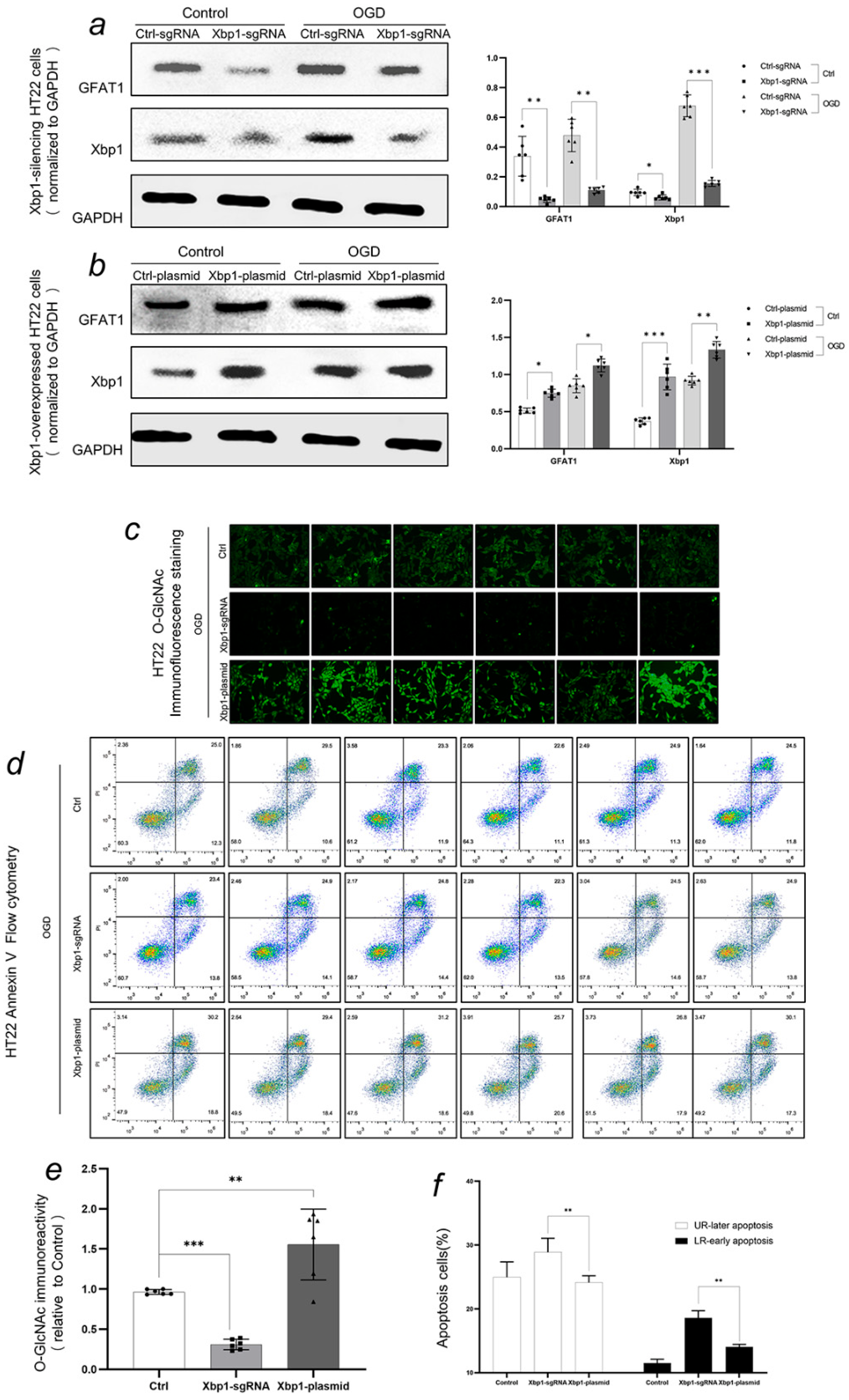 Biomedicines 11 01259 g006