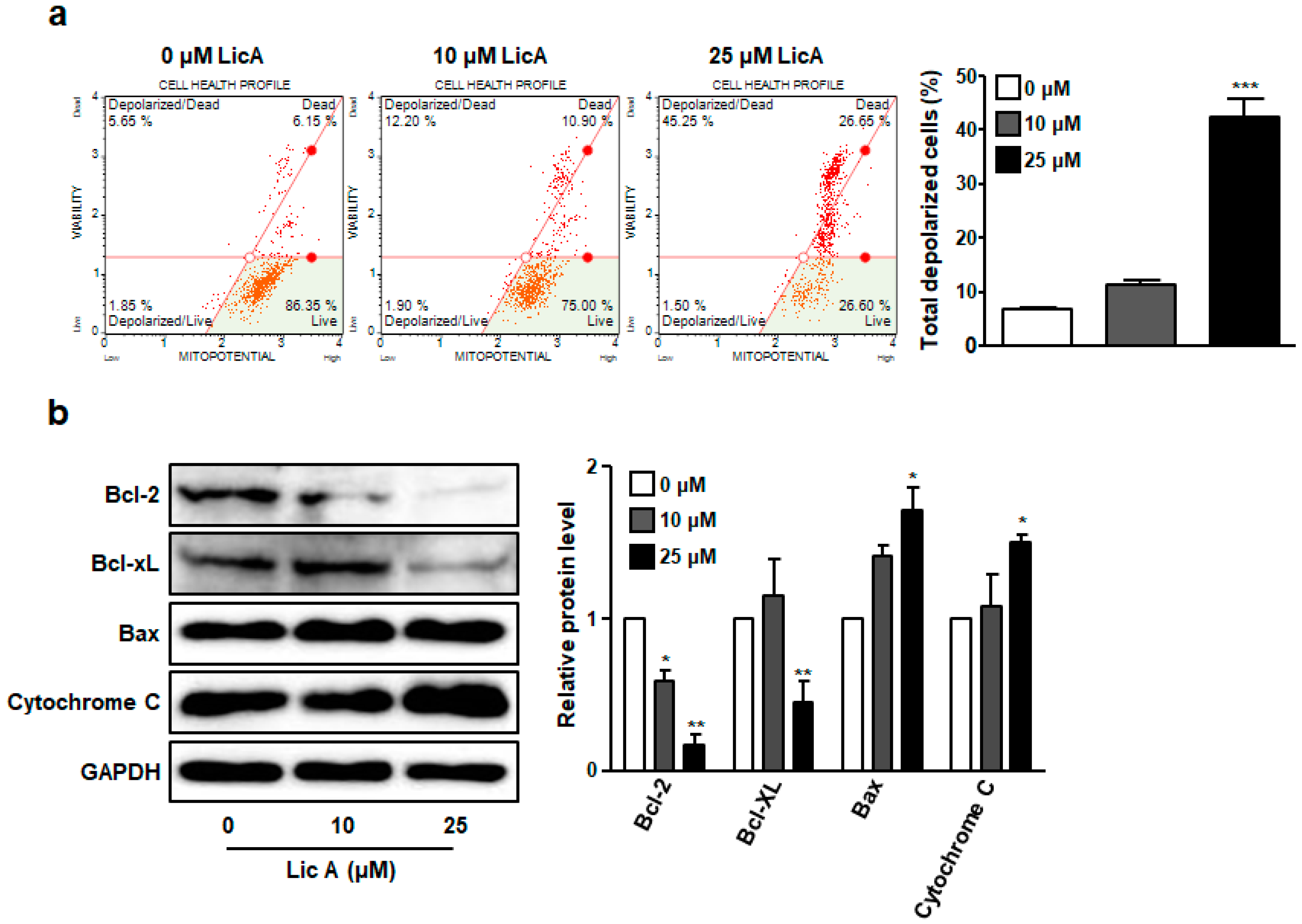 Biomedicines 11 01264 g003