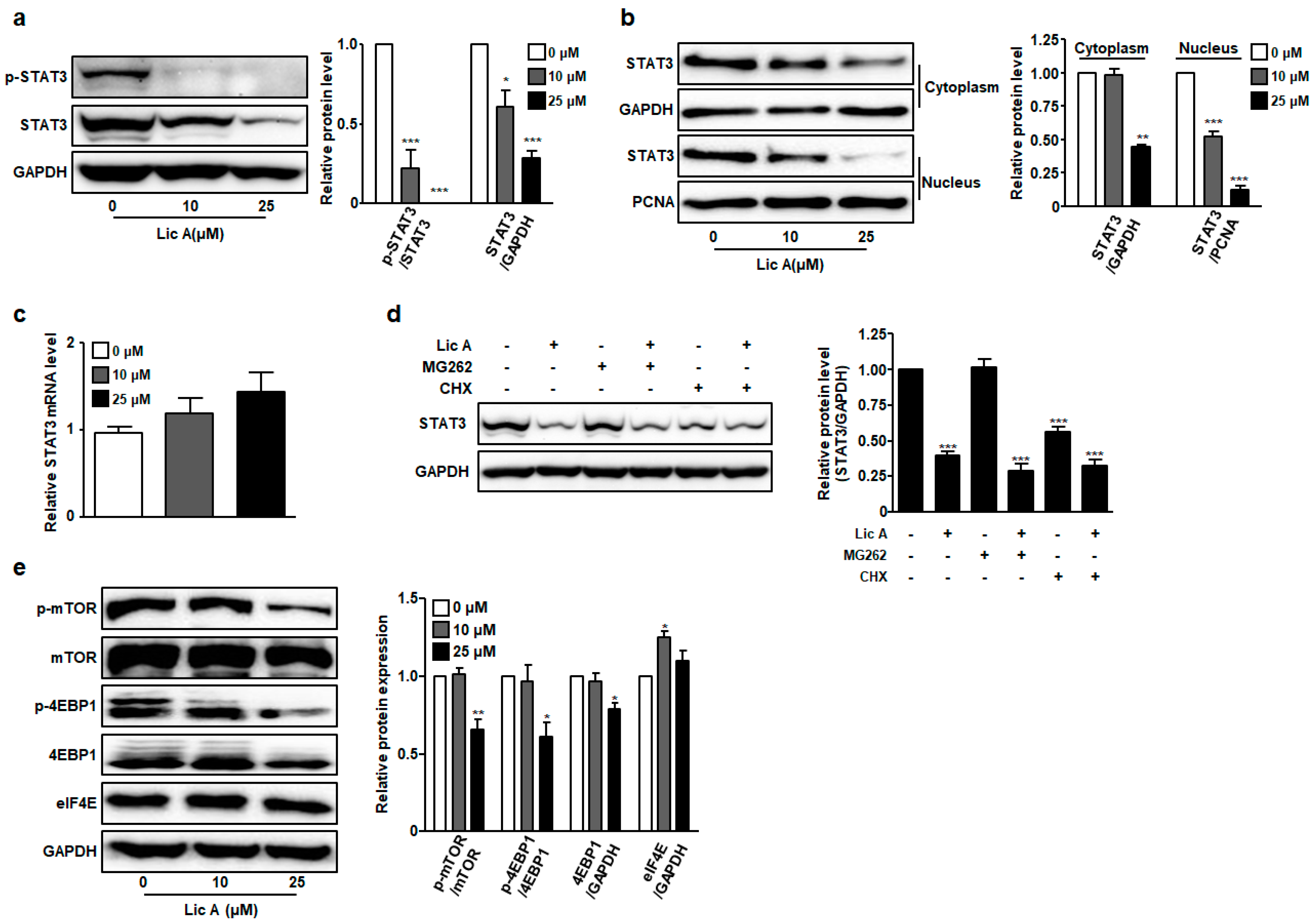 Biomedicines 11 01264 g006