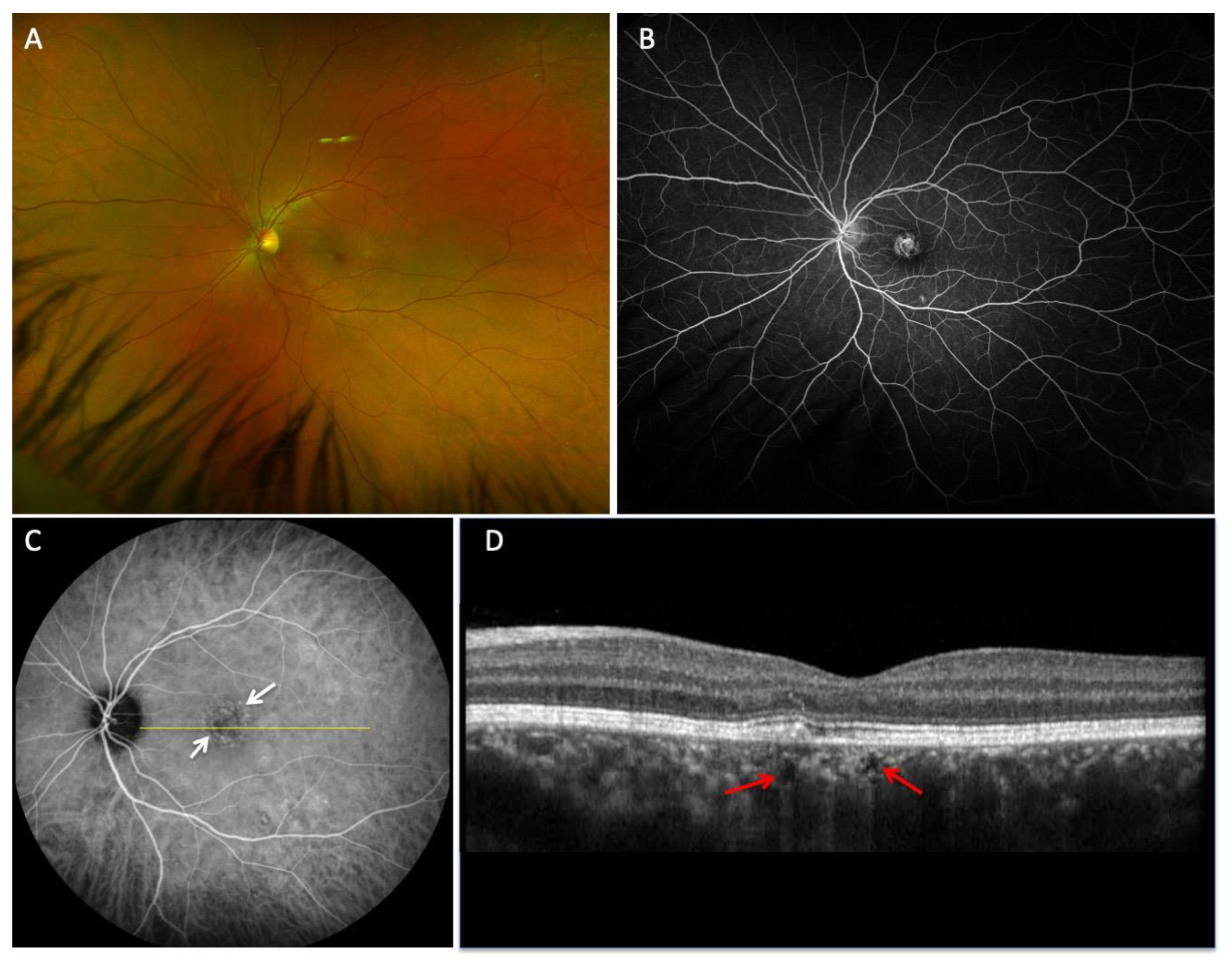 Biomedicines 11 01268 g001