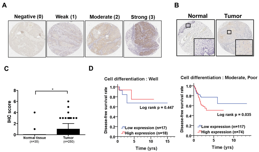 Biomedicines 11 01270 g001 Biomedicines 11 01270 g001