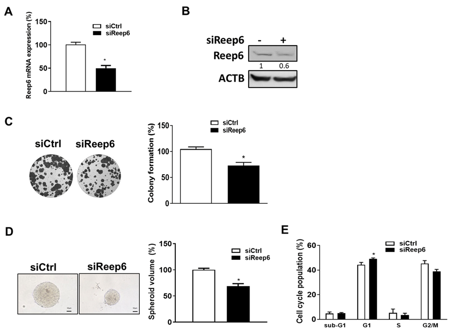 Biomedicines 11 01270 g002 Biomedicines 11 01270 g002