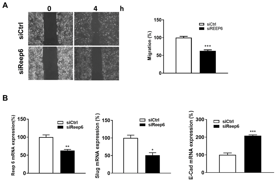 Biomedicines 11 01270 g003 Biomedicines 11 01270 g003