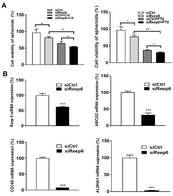 Biomedicines 11 01270 g004 Biomedicines 11 01270 g004