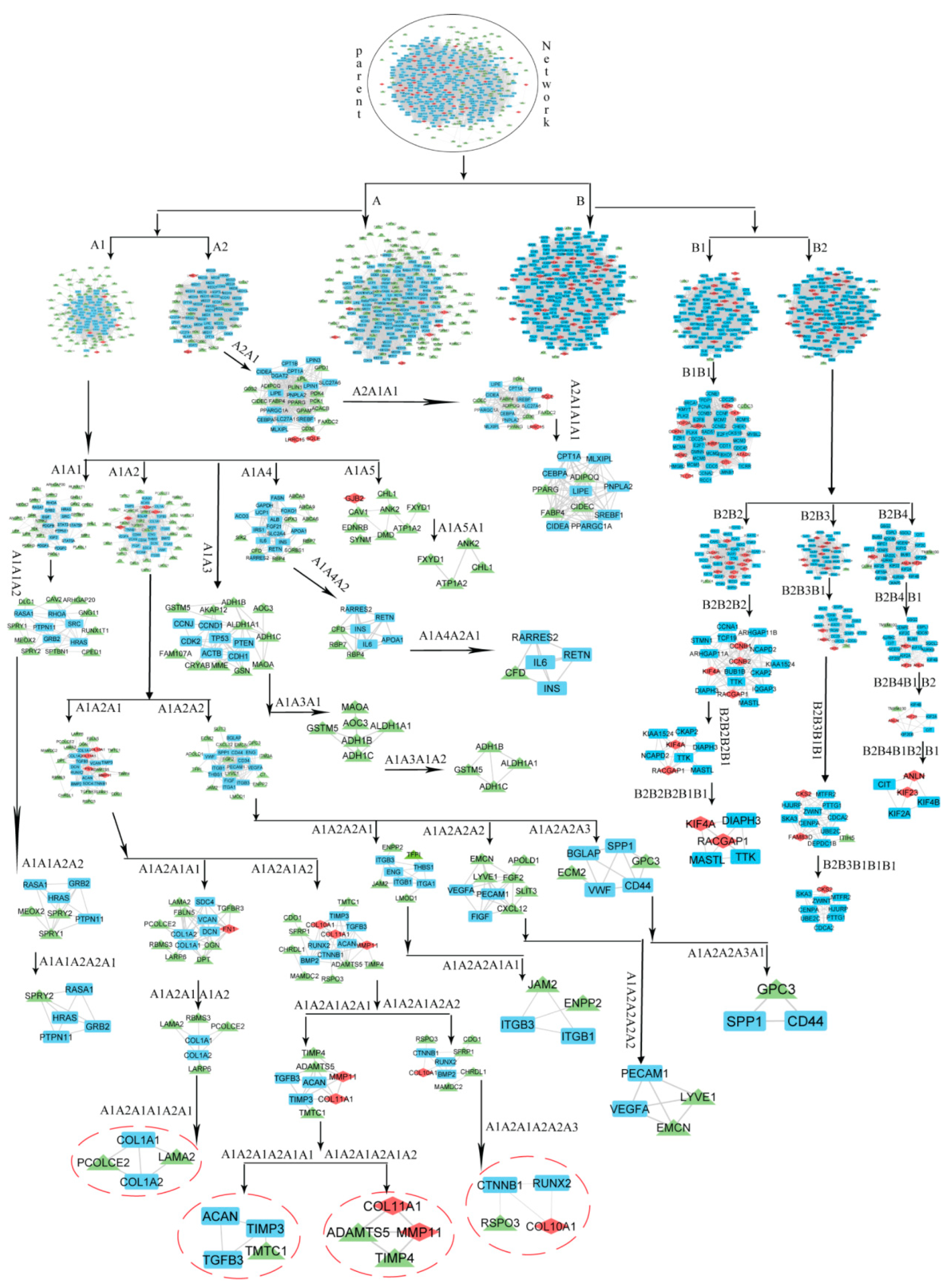 Biomedicines 11 01271 g003