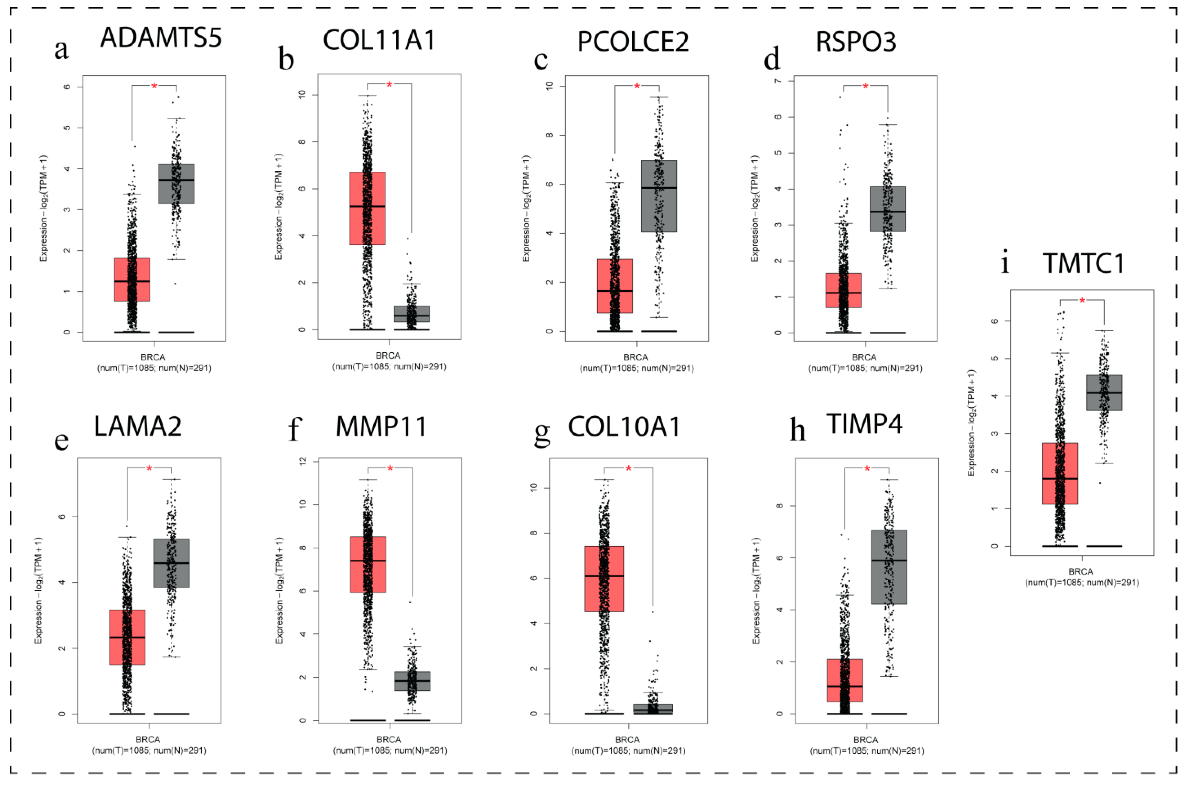 Biomedicines 11 01271 g004