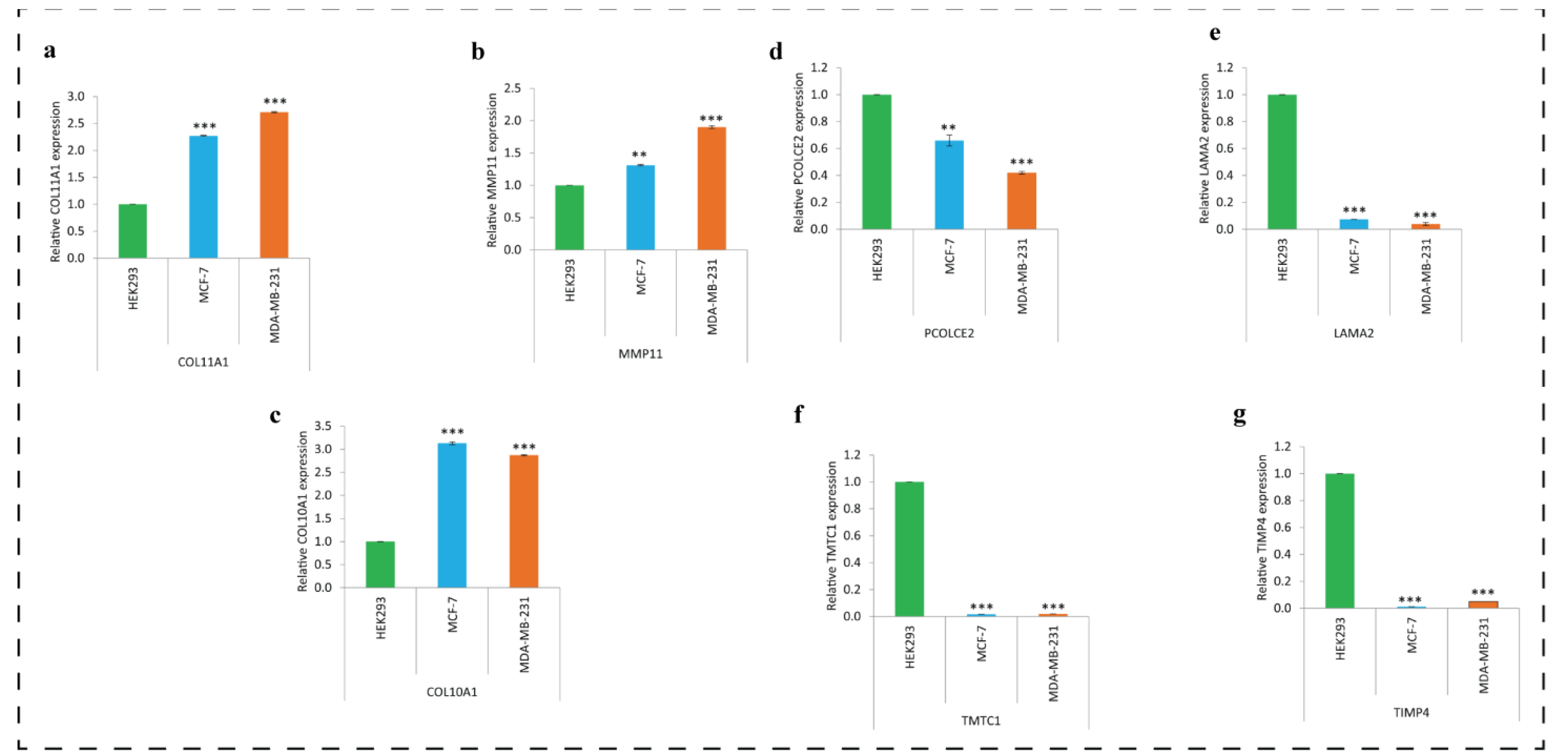 Biomedicines 11 01271 g010