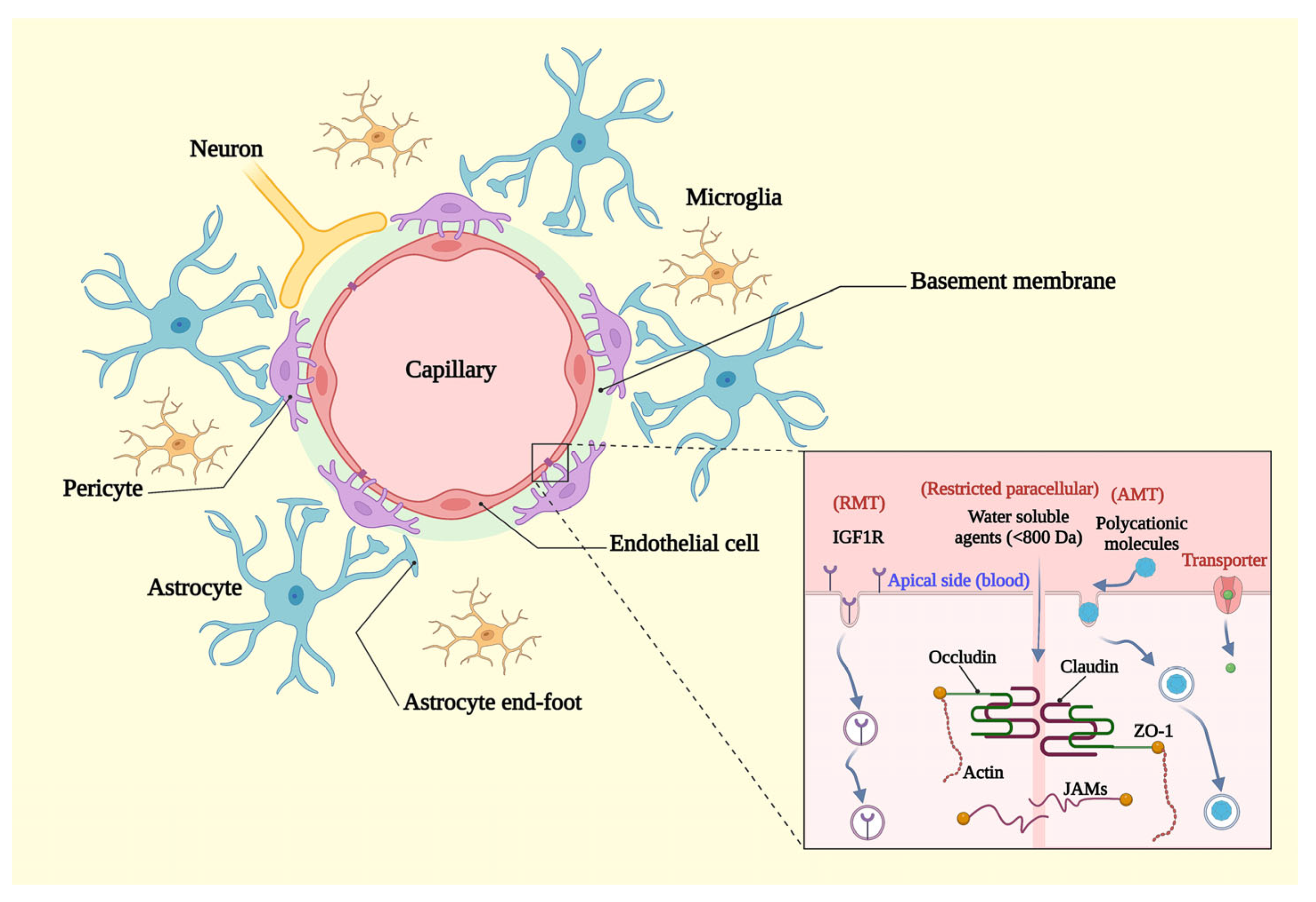 Biomedicines 11 01272 g001