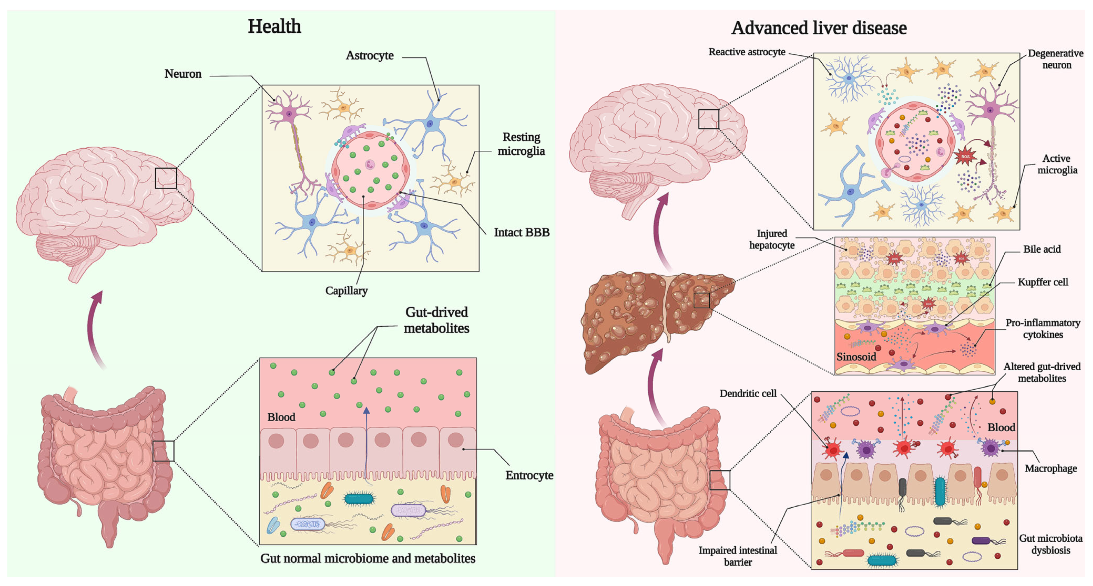 Biomedicines 11 01272 g002