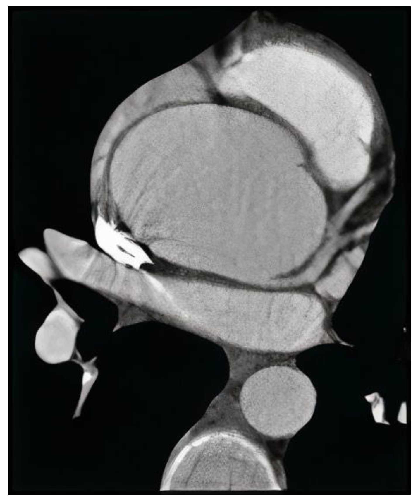 Biomedicines 11 01273 g002 Biomedicines 11 01273 g002