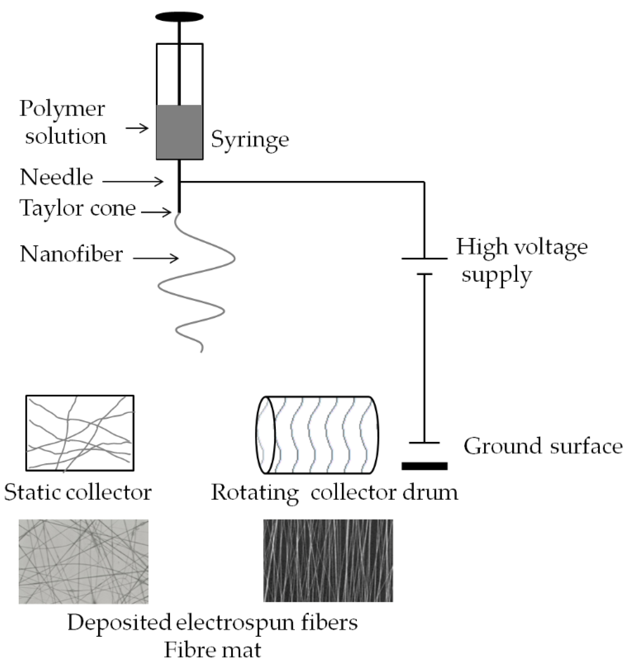 Biomedicines 11 01274 g003 Biomedicines 11 01274 g003