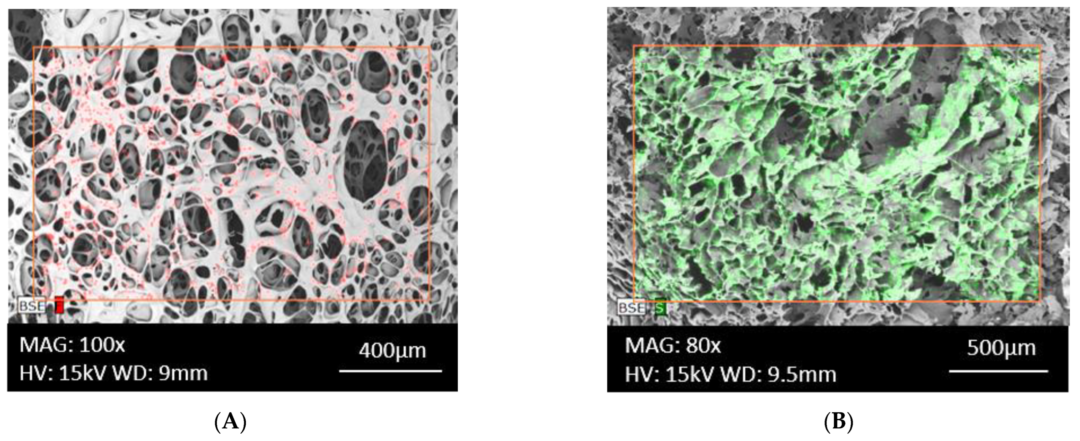 Biomedicines 11 01274 g005 Biomedicines 11 01274 g005