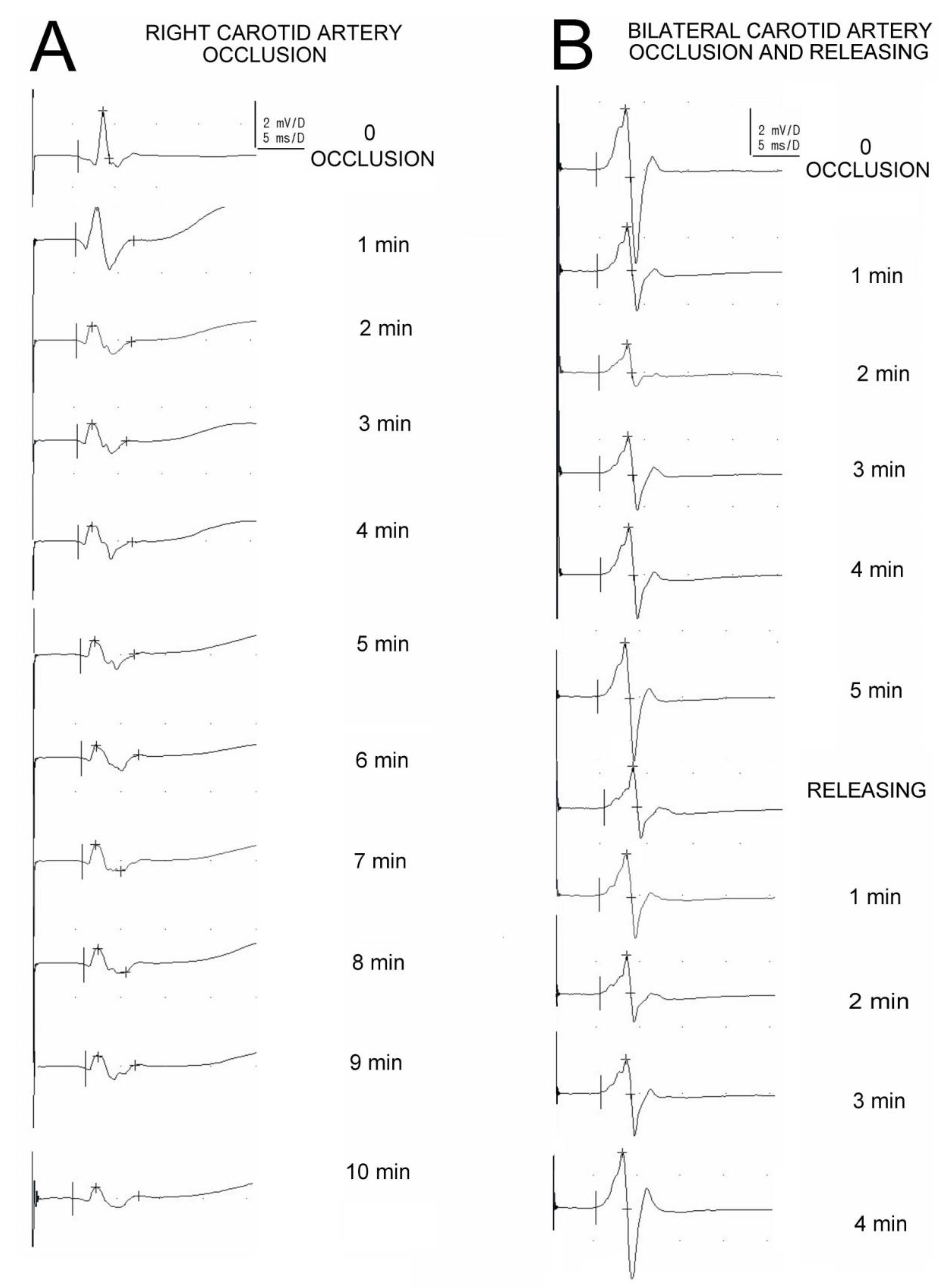 Biomedicines 11 01287 g003 Biomedicines 11 01287 g003