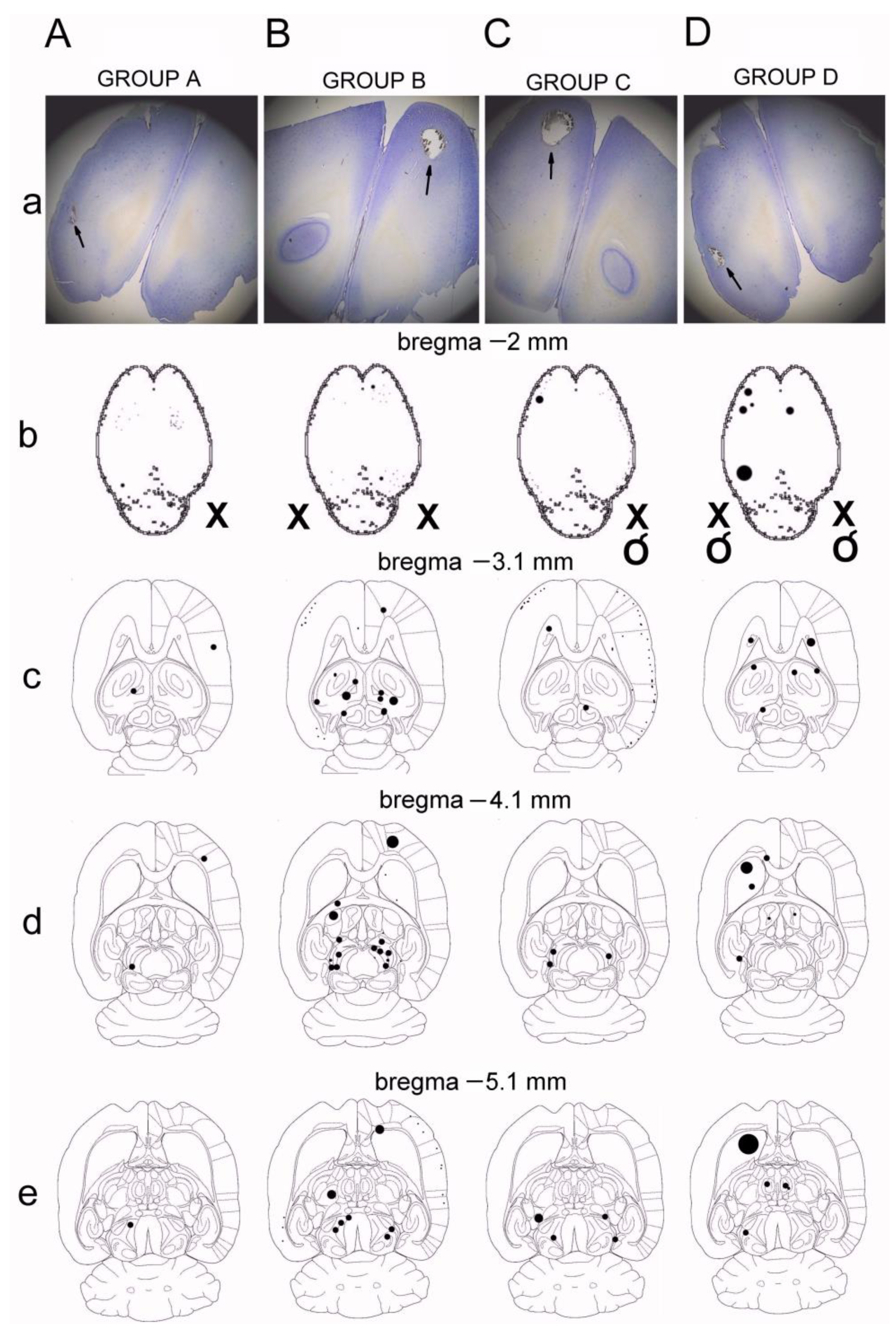 Biomedicines 11 01287 g004 Biomedicines 11 01287 g004