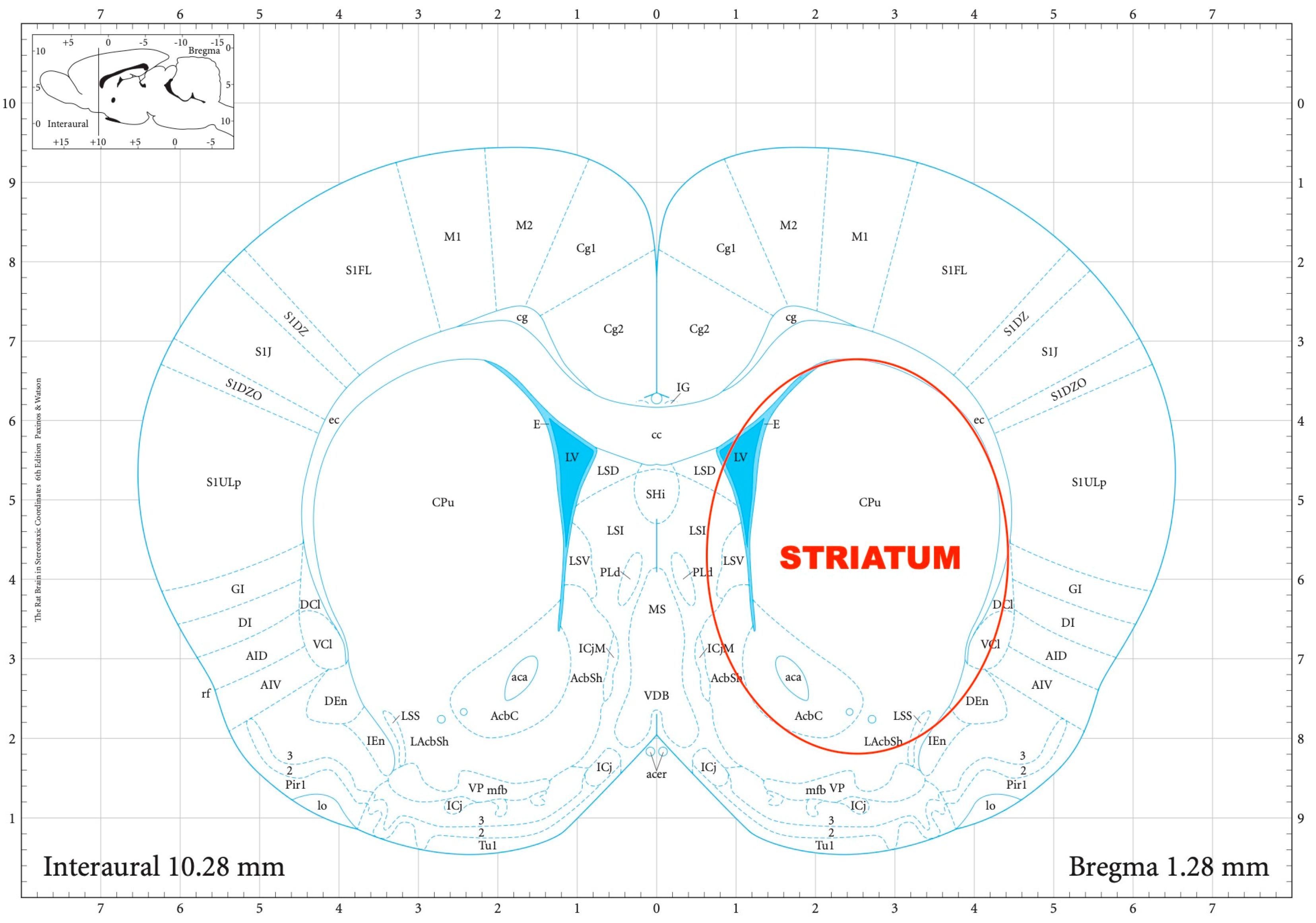 Biomedicines 11 01288 g002 Biomedicines 11 01288 g002