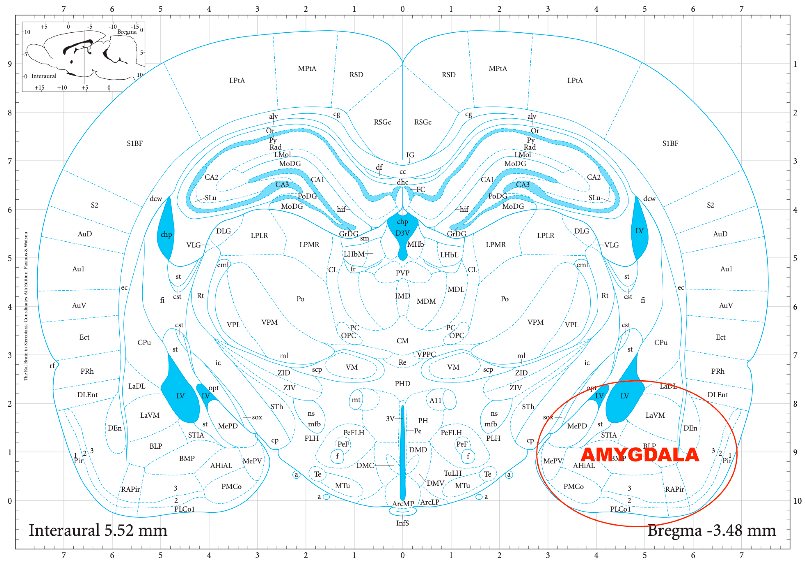 Biomedicines 11 01288 g003 Biomedicines 11 01288 g003