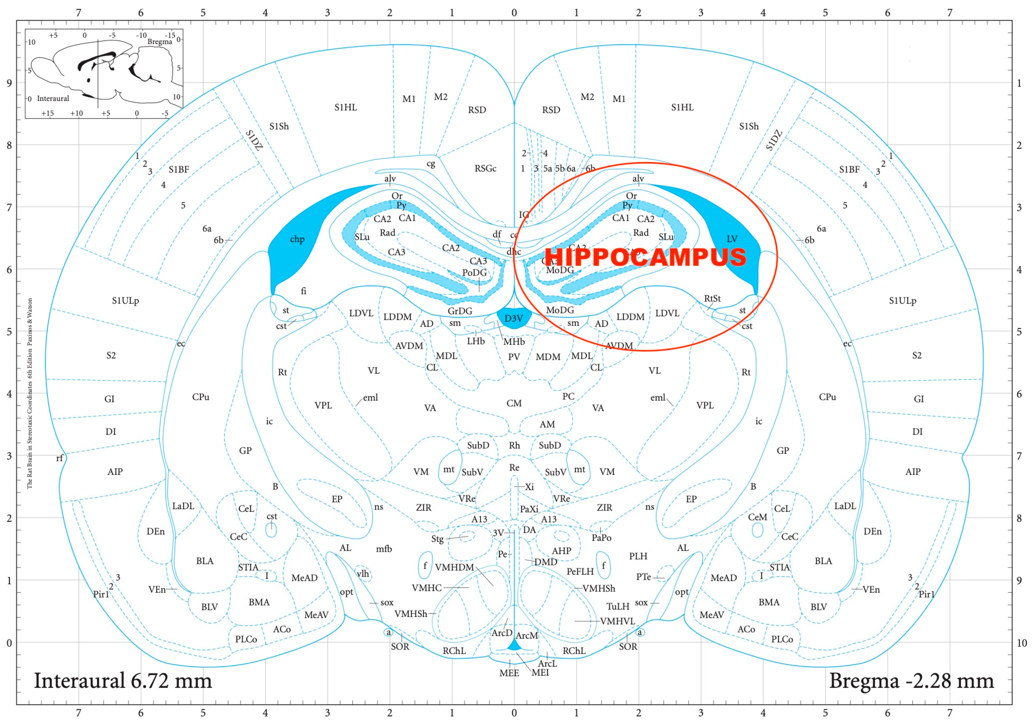 Biomedicines 11 01288 g004 Biomedicines 11 01288 g004