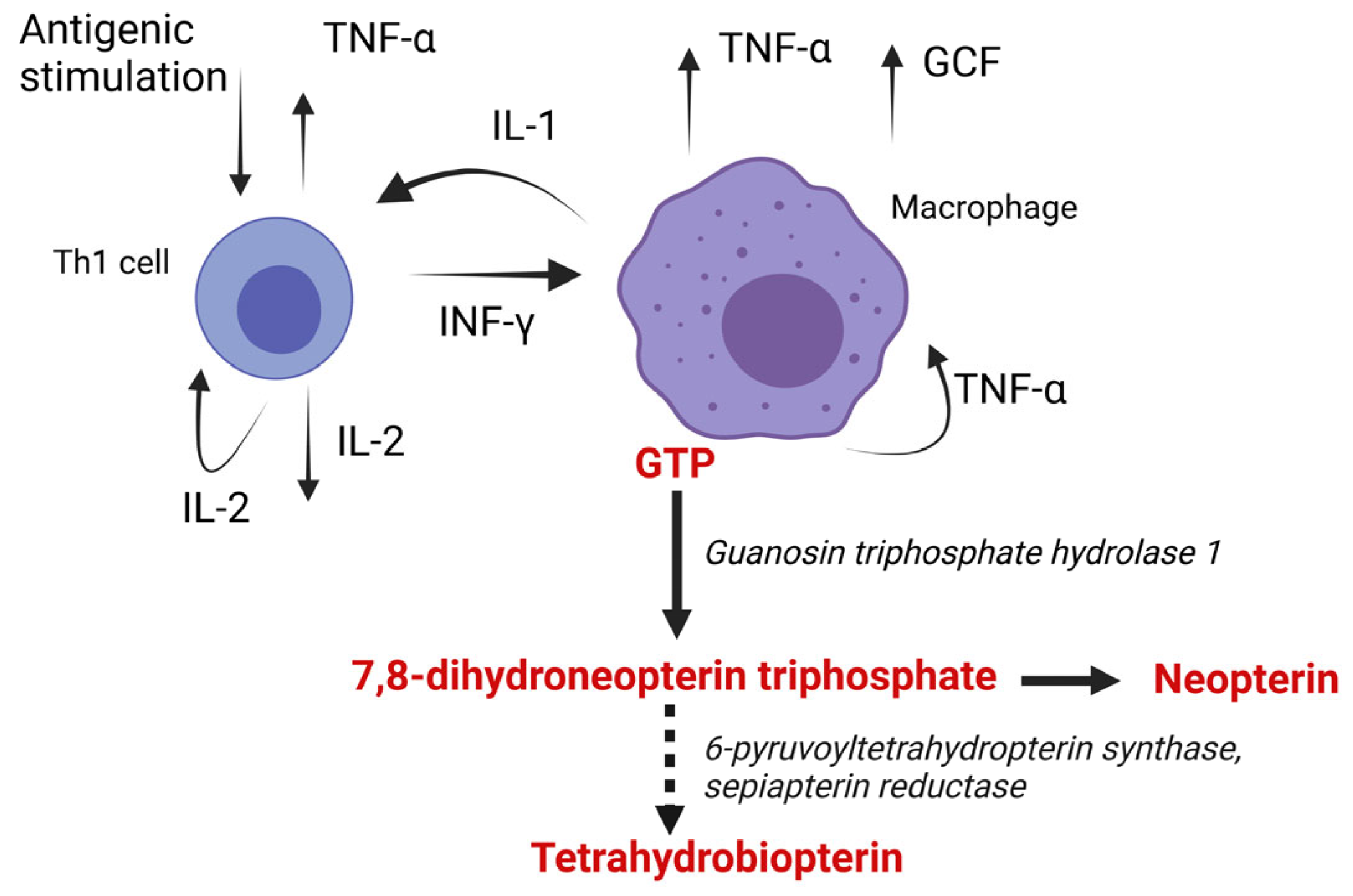 Biomedicines 11 01294 g001 Biomedicines 11 01294 g001