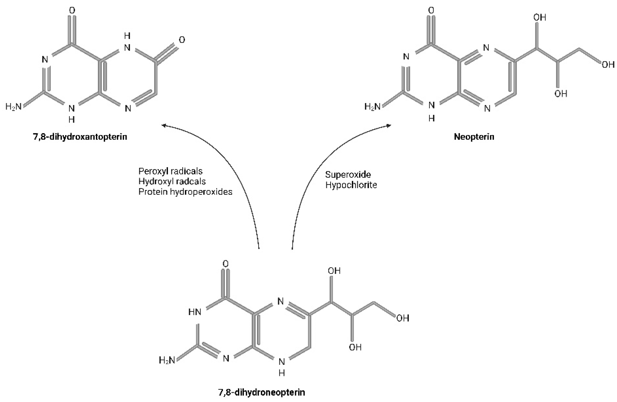 Biomedicines 11 01294 g002 Biomedicines 11 01294 g002