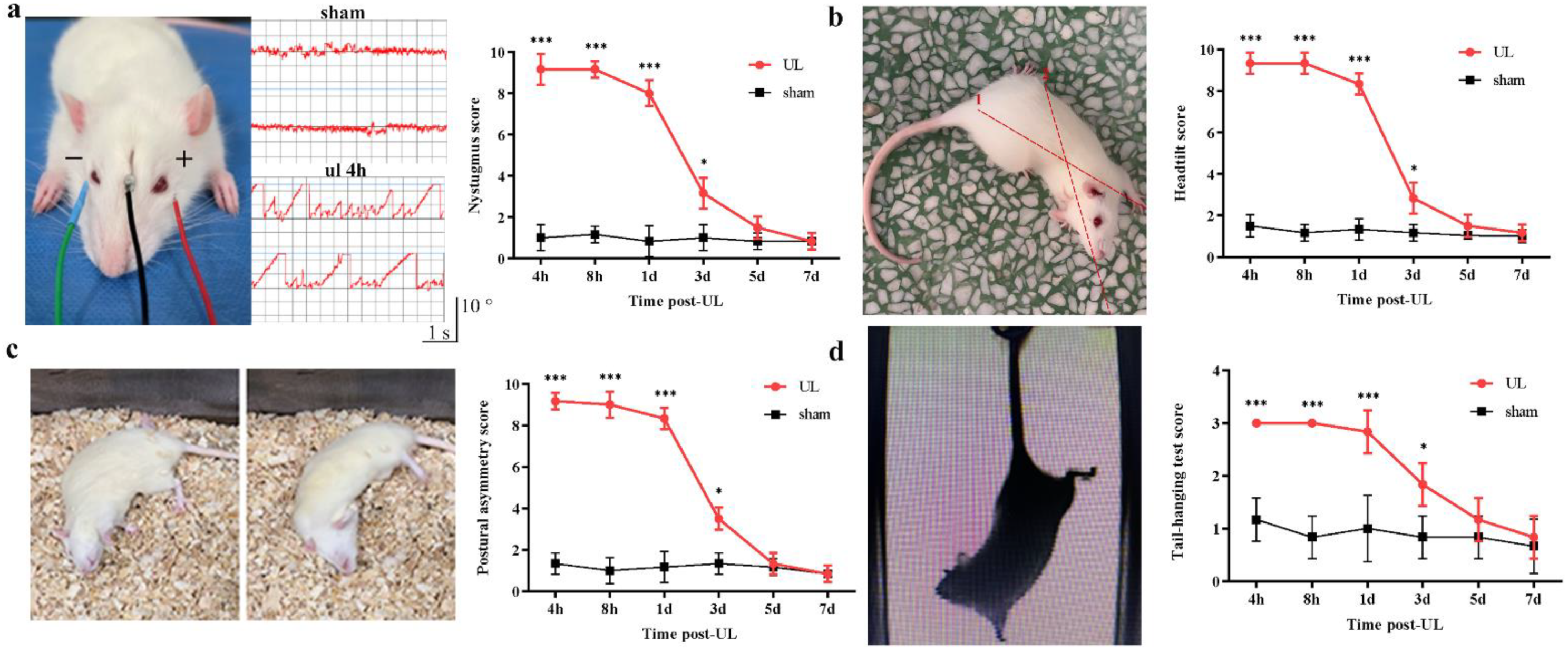 Biomedicines 11 01298 g001 Biomedicines 11 01298 g001