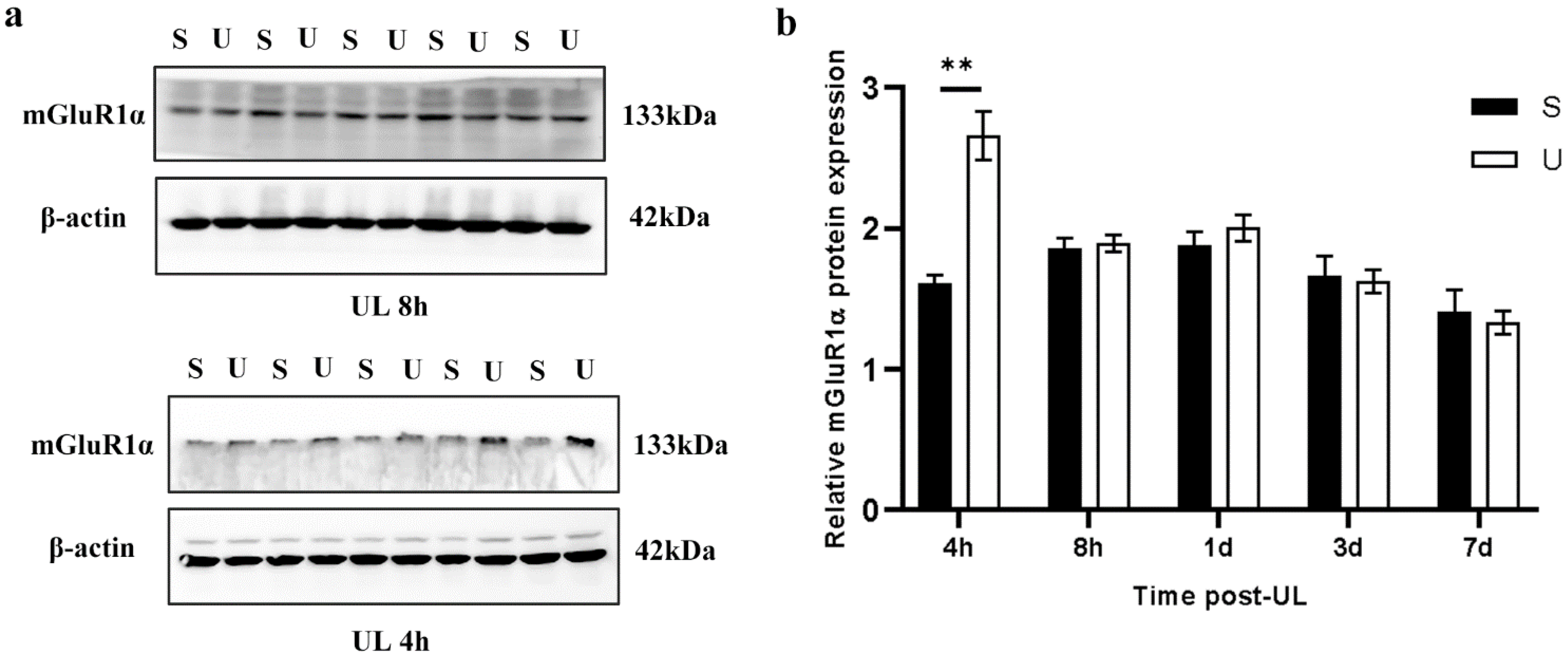 Biomedicines 11 01298 g003 Biomedicines 11 01298 g003