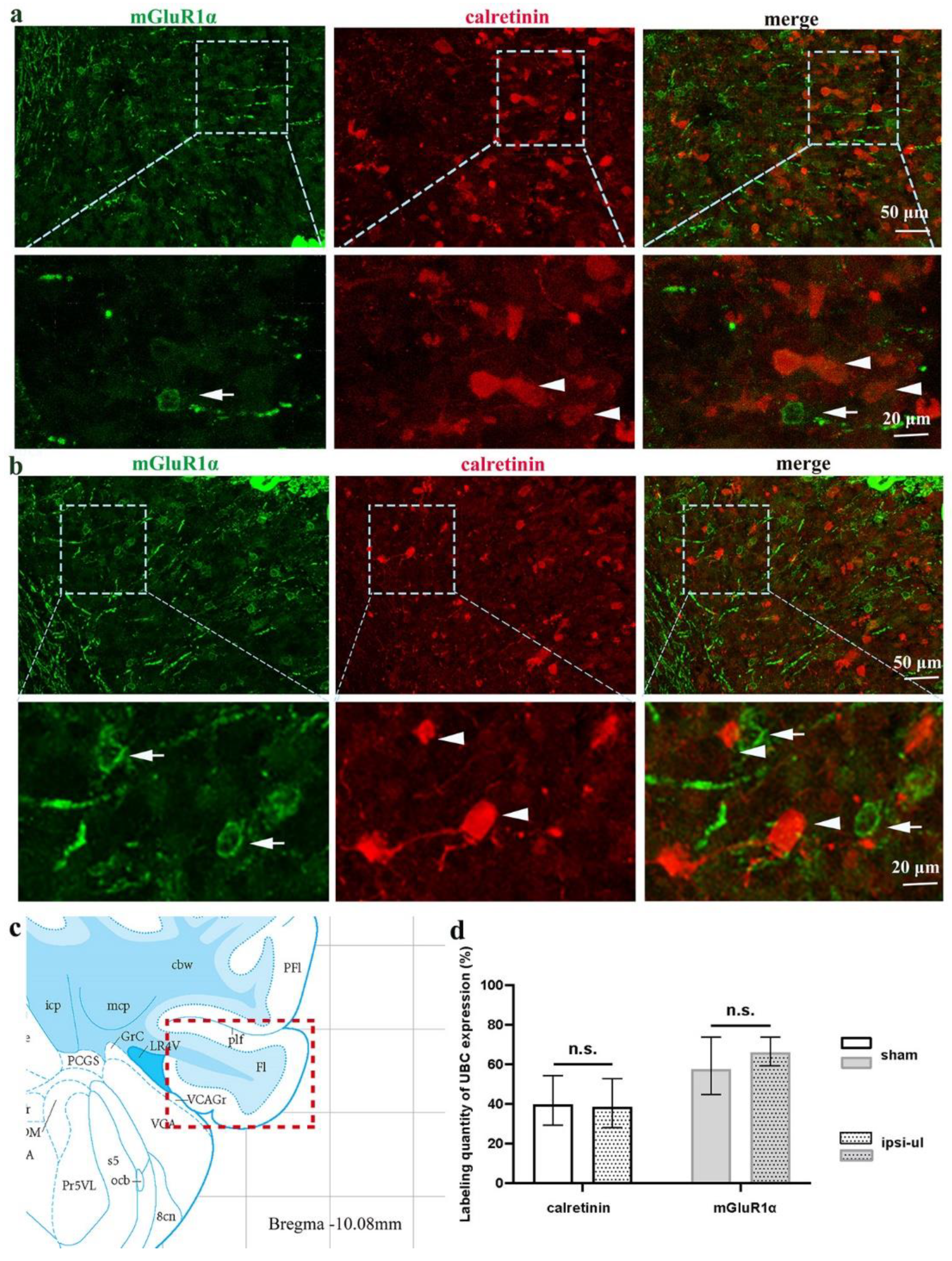 Biomedicines 11 01298 g005 Biomedicines 11 01298 g005