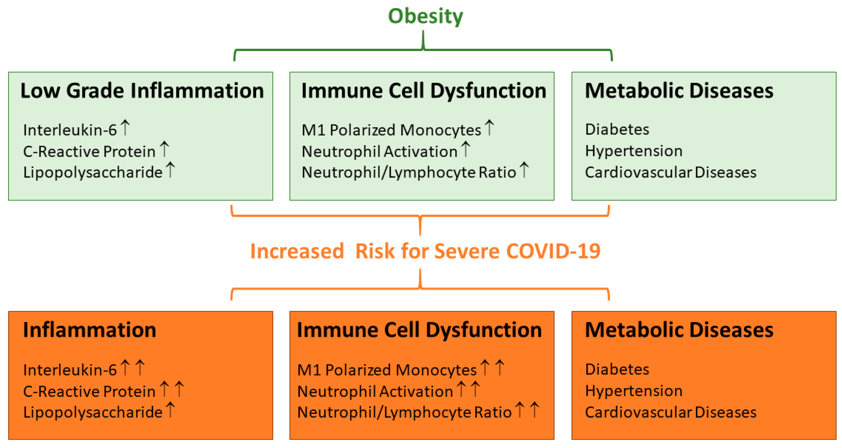 Biomedicines 11 01302 g001