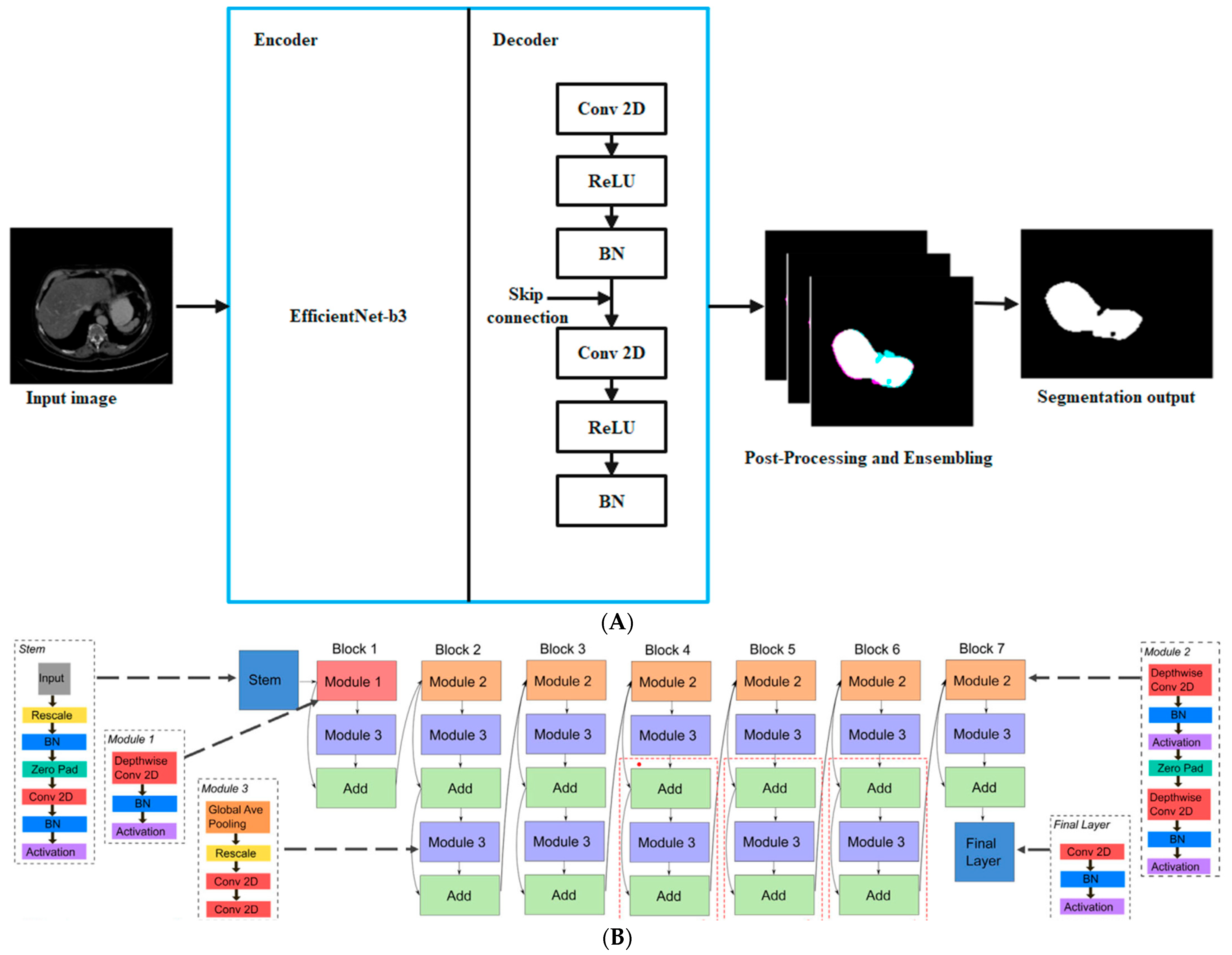 Biomedicines 11 01309 g002