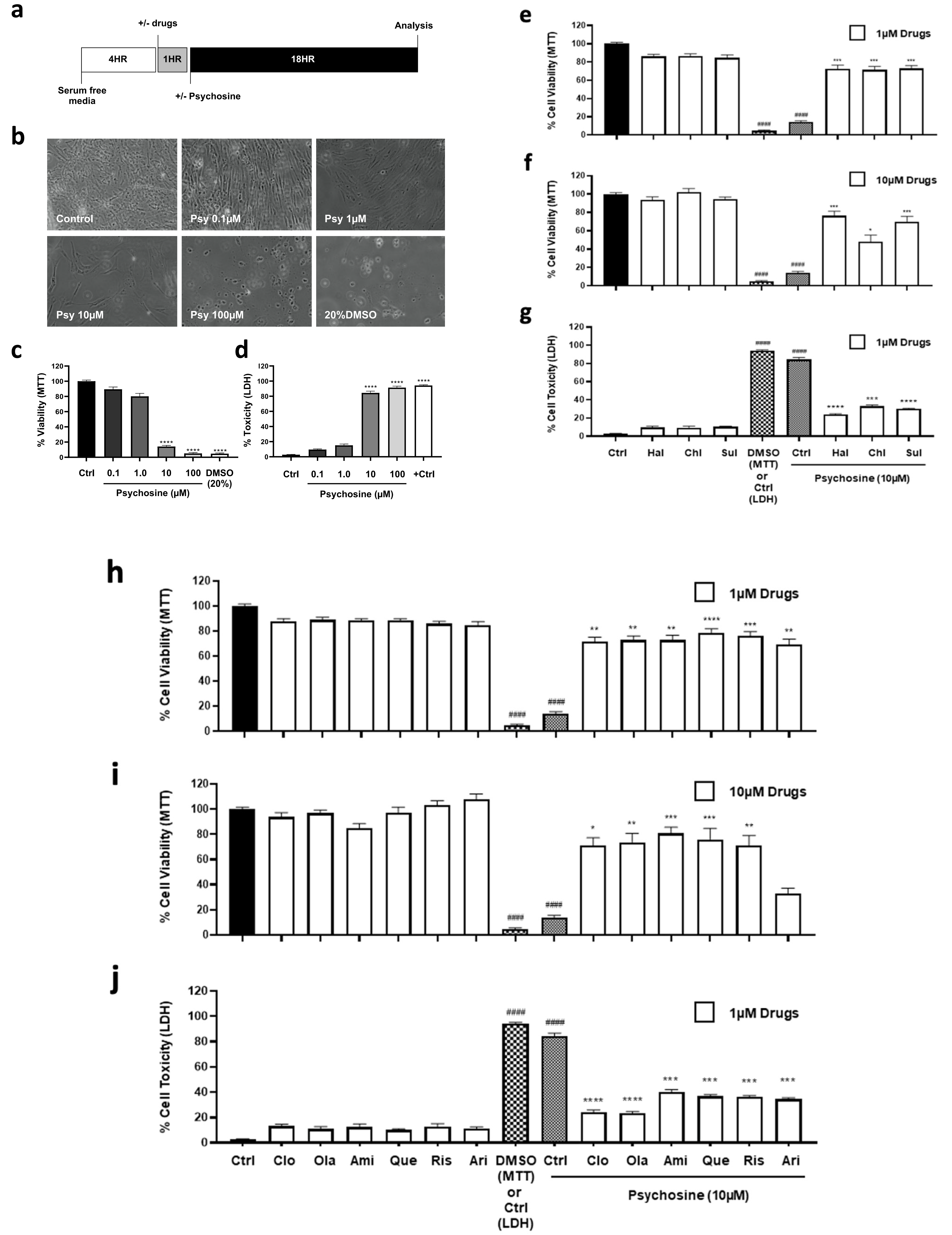 Biomedicines 11 01313 g001a Biomedicines 11 01313 g001a