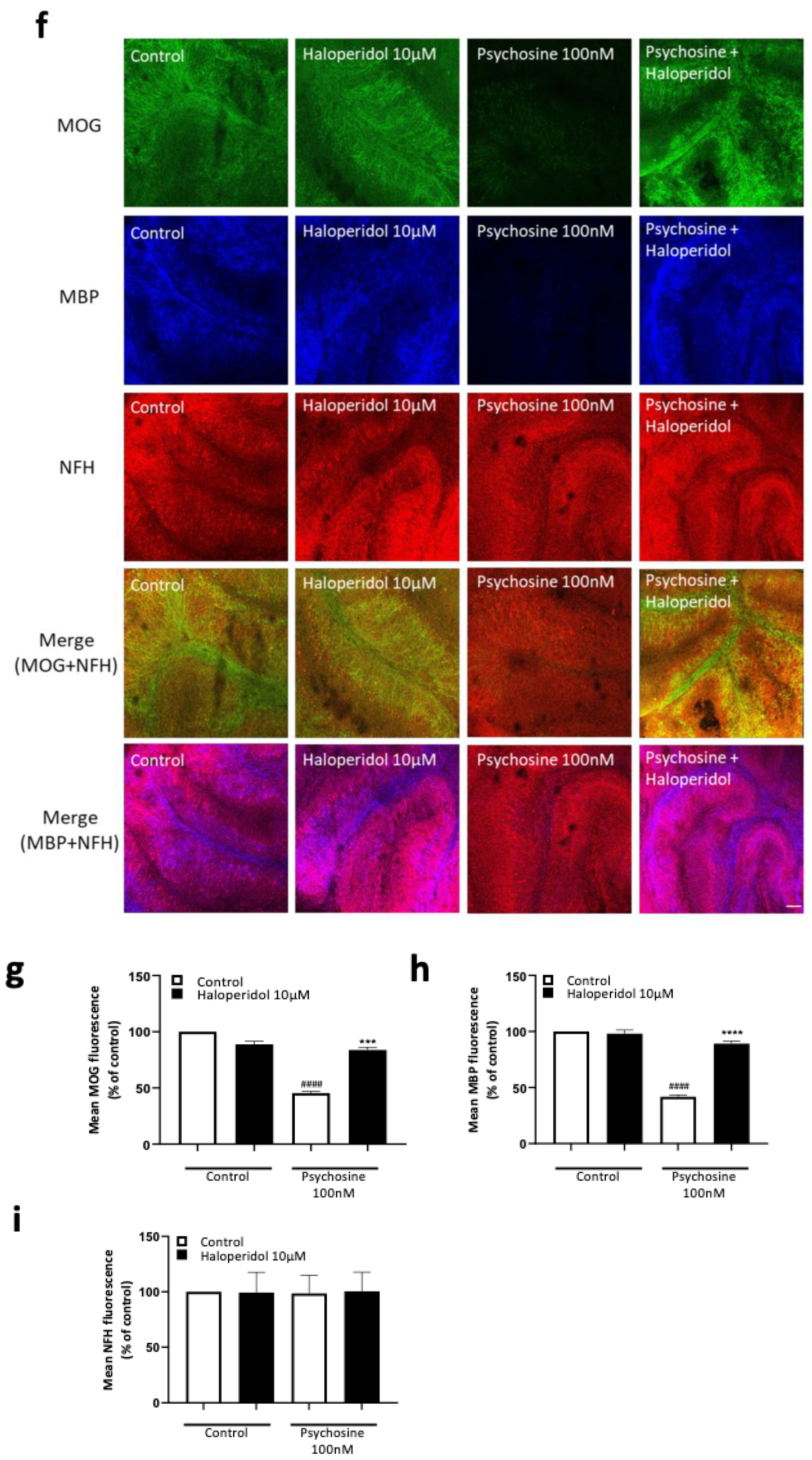 Biomedicines 11 01313 g003b Biomedicines 11 01313 g003b