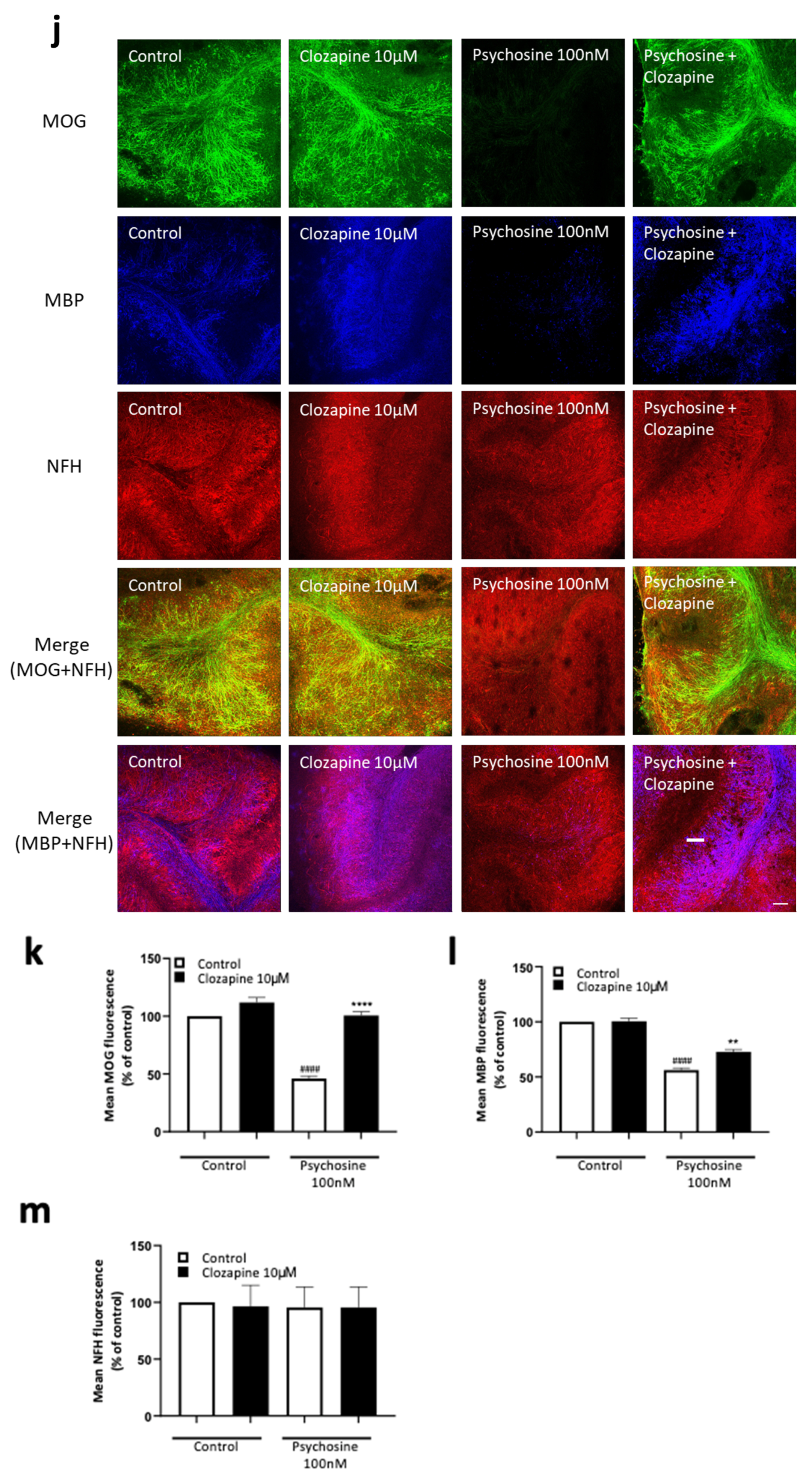 Biomedicines 11 01313 g003c Biomedicines 11 01313 g003c