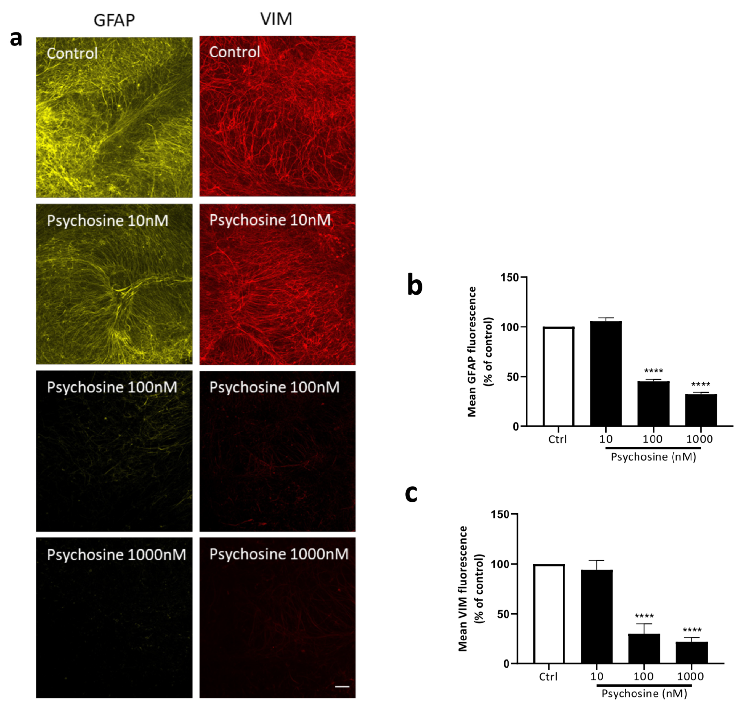 Biomedicines 11 01313 g004a Biomedicines 11 01313 g004a