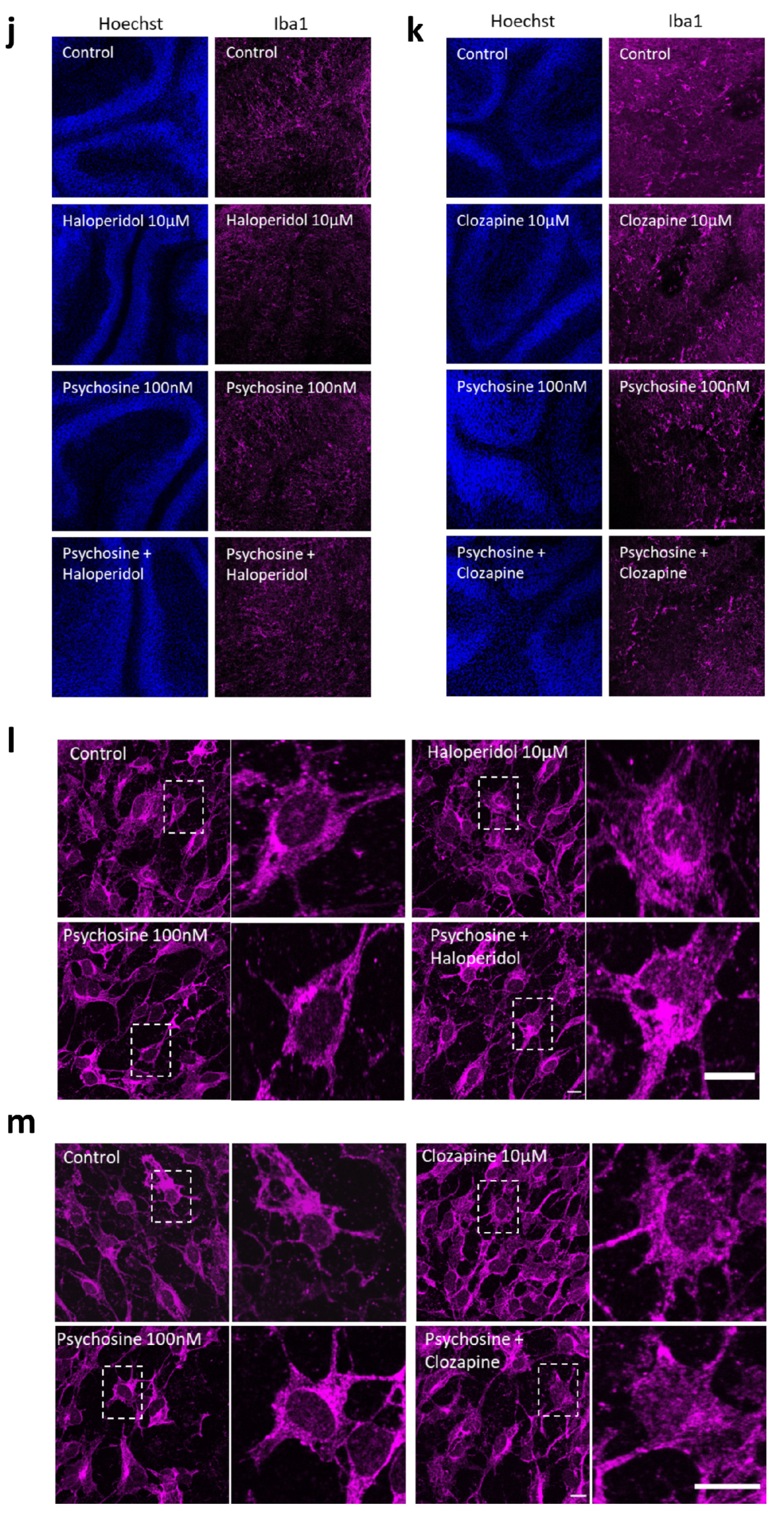 Biomedicines 11 01313 g004c Biomedicines 11 01313 g004c