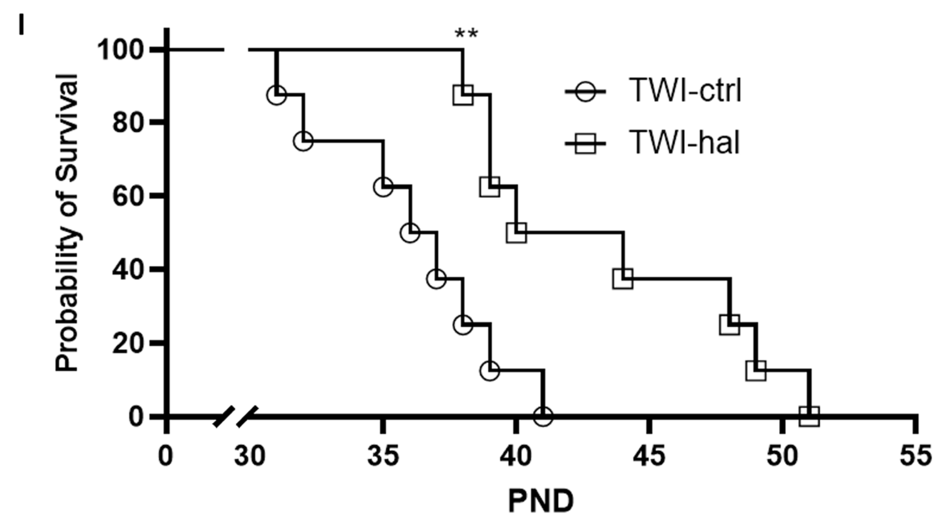 Biomedicines 11 01313 g006c Biomedicines 11 01313 g006c