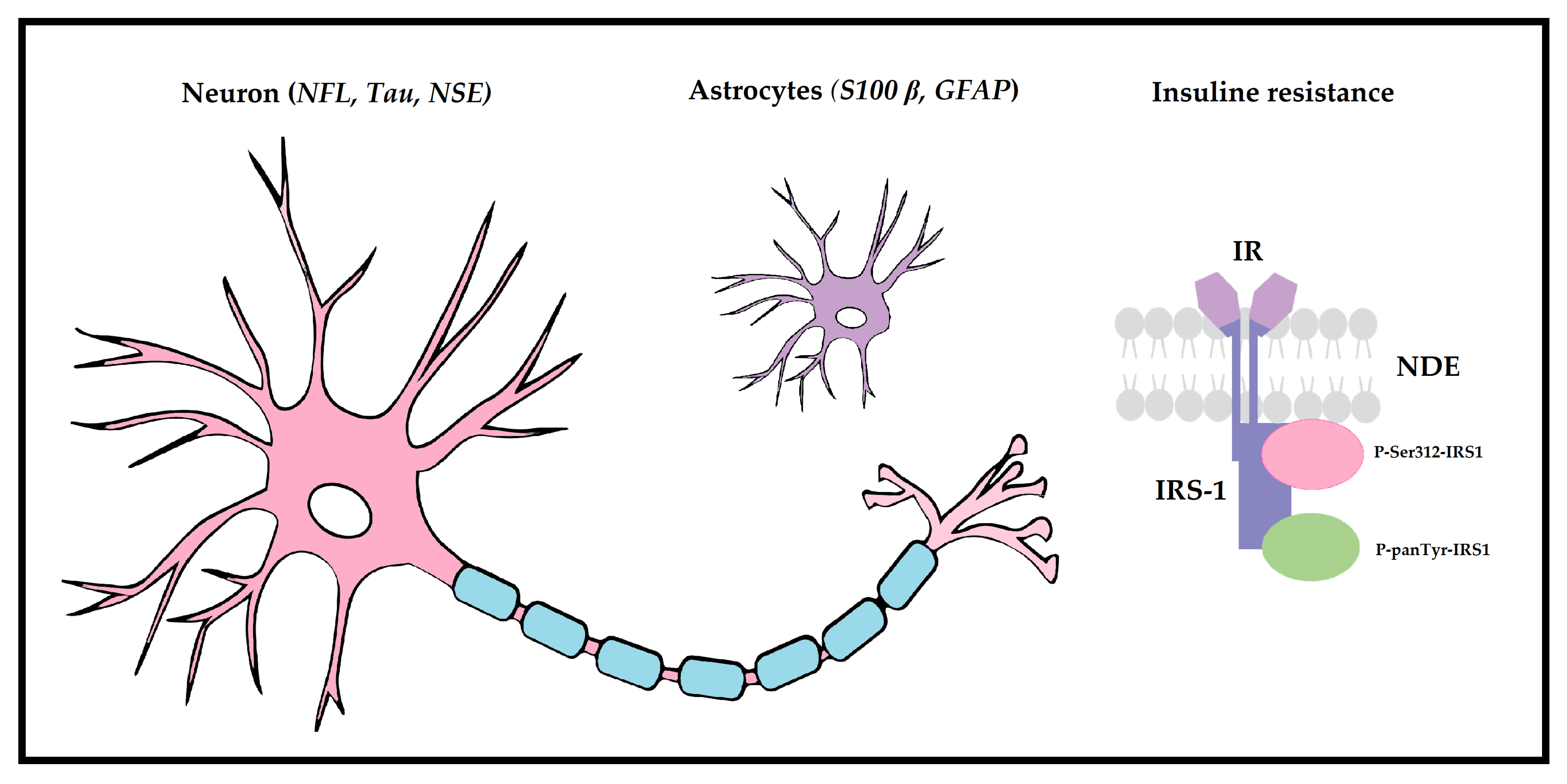 Biomedicines 11 01317 g001