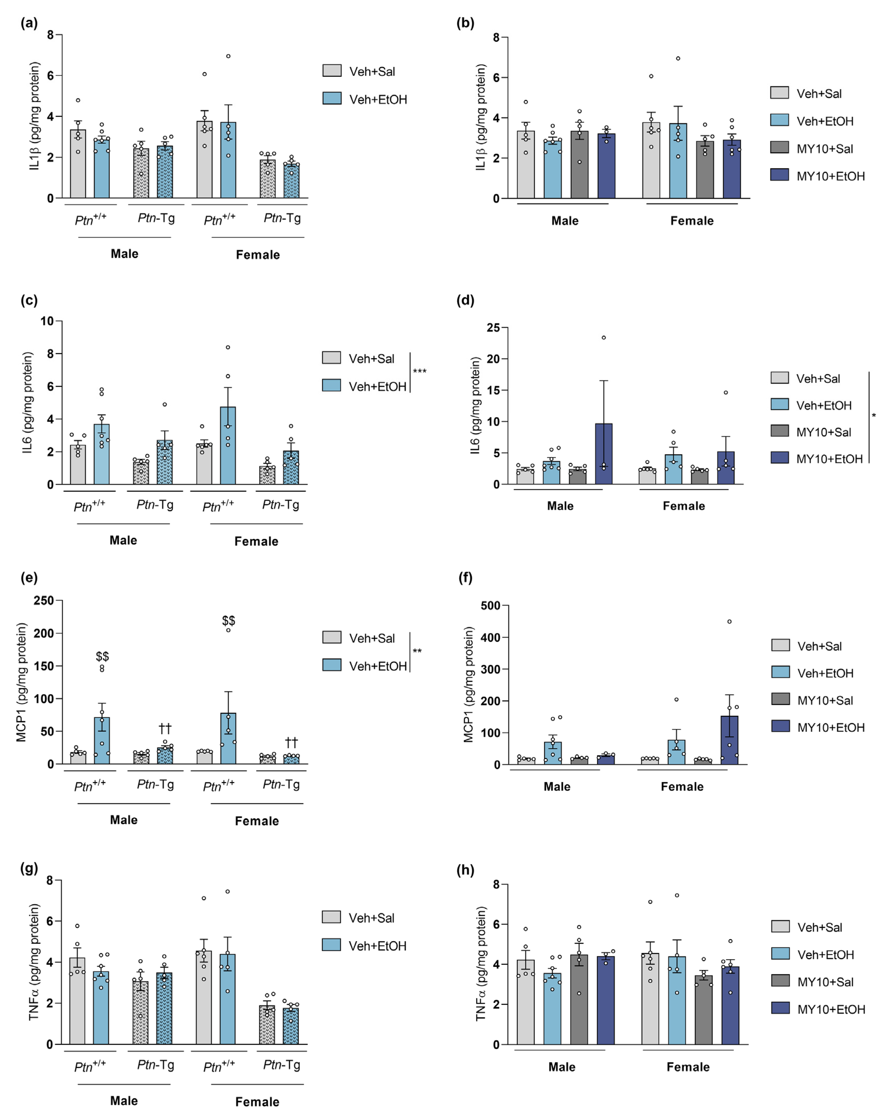 Biomedicines 11 01318 g001 Biomedicines 11 01318 g001