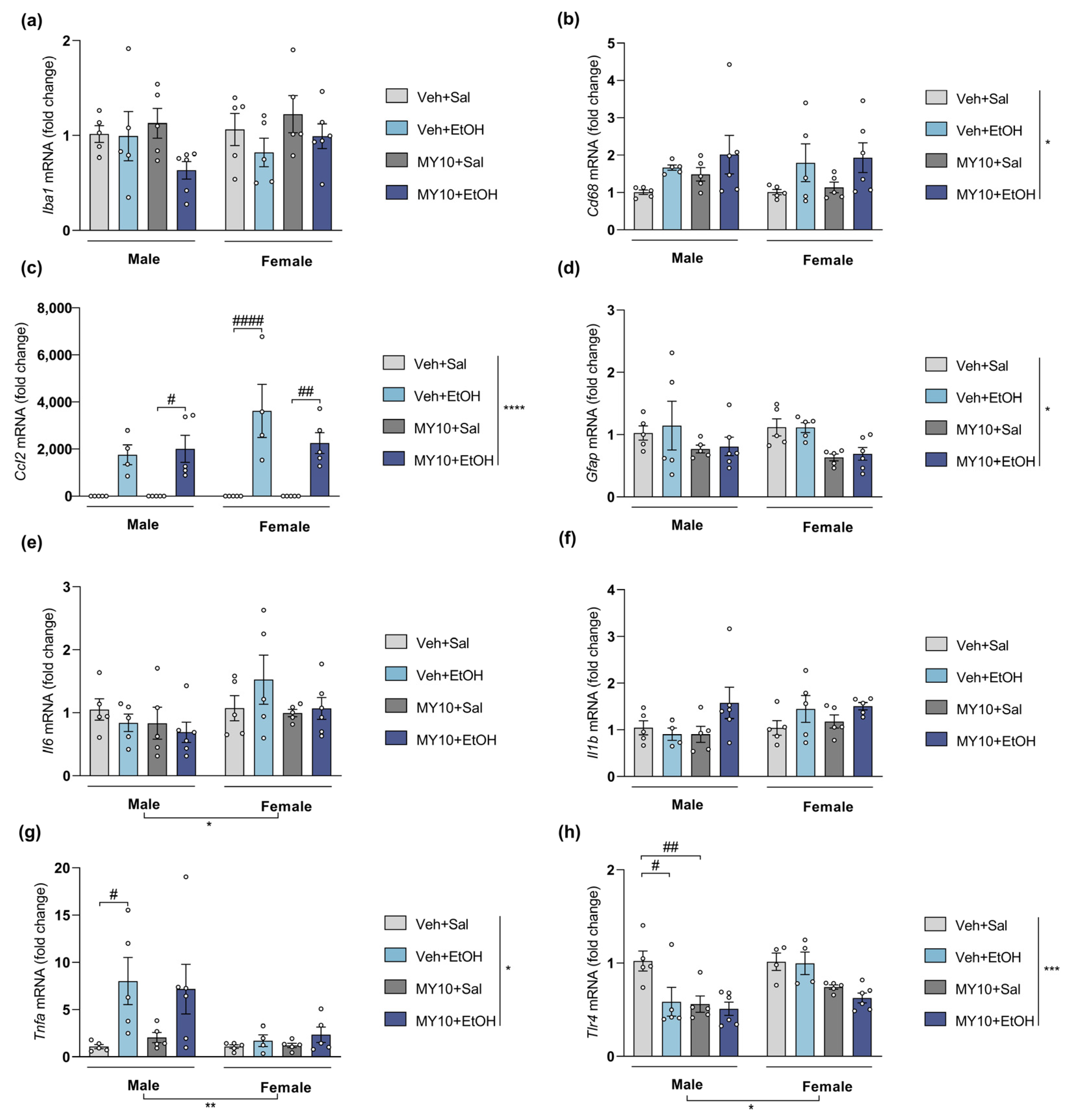Biomedicines 11 01318 g003 Biomedicines 11 01318 g003
