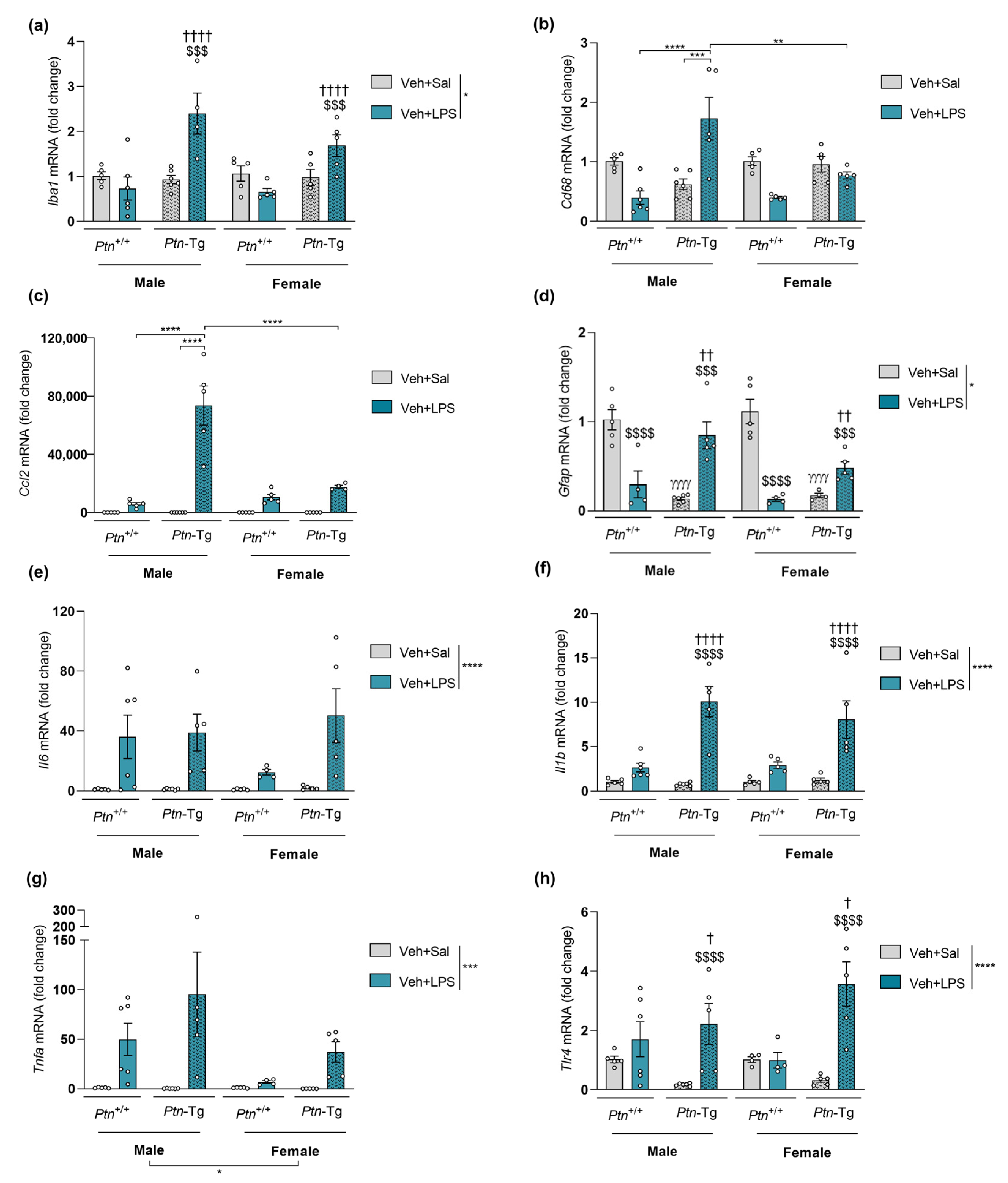 Biomedicines 11 01318 g004 Biomedicines 11 01318 g004