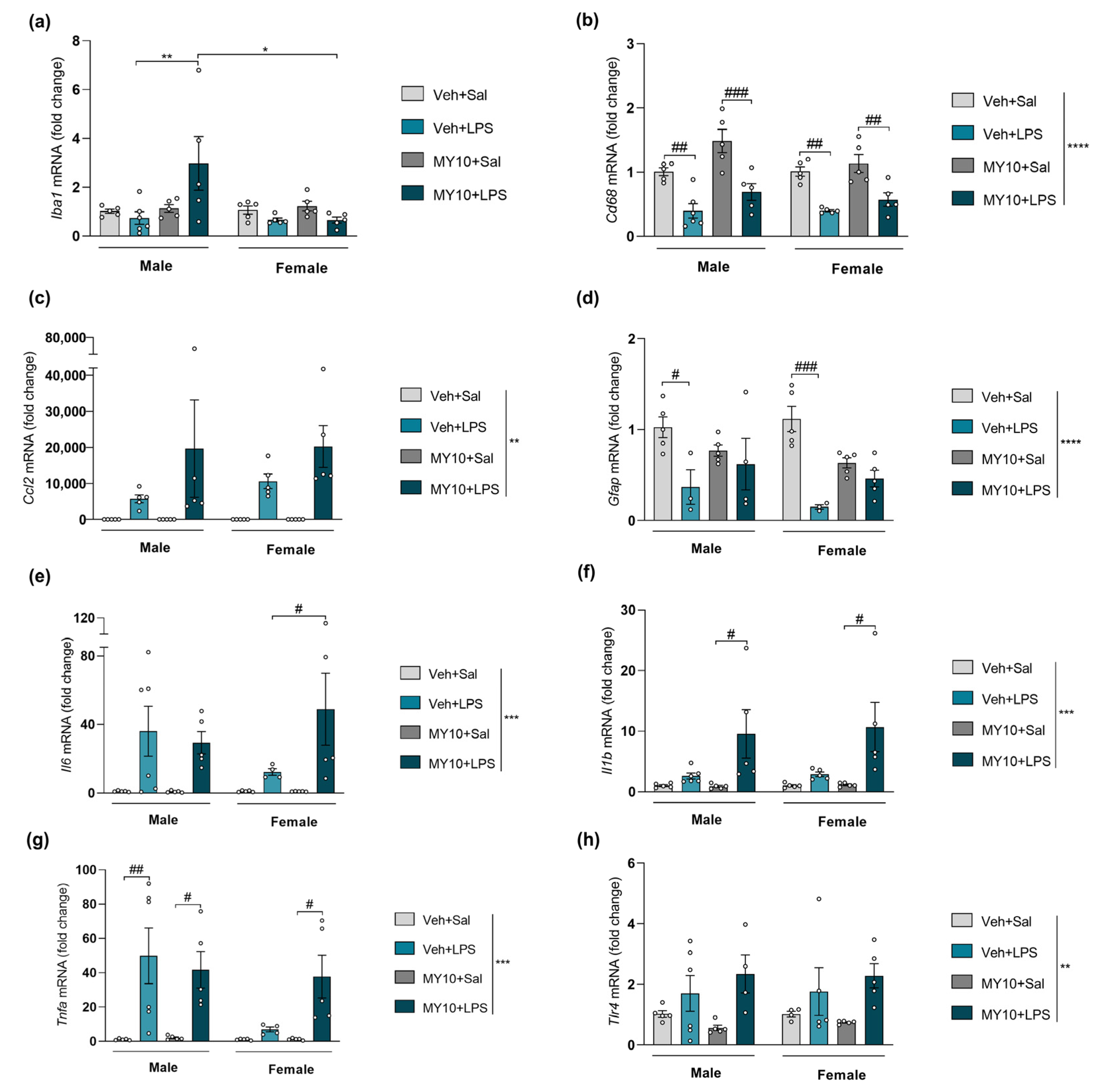 Biomedicines 11 01318 g005 Biomedicines 11 01318 g005
