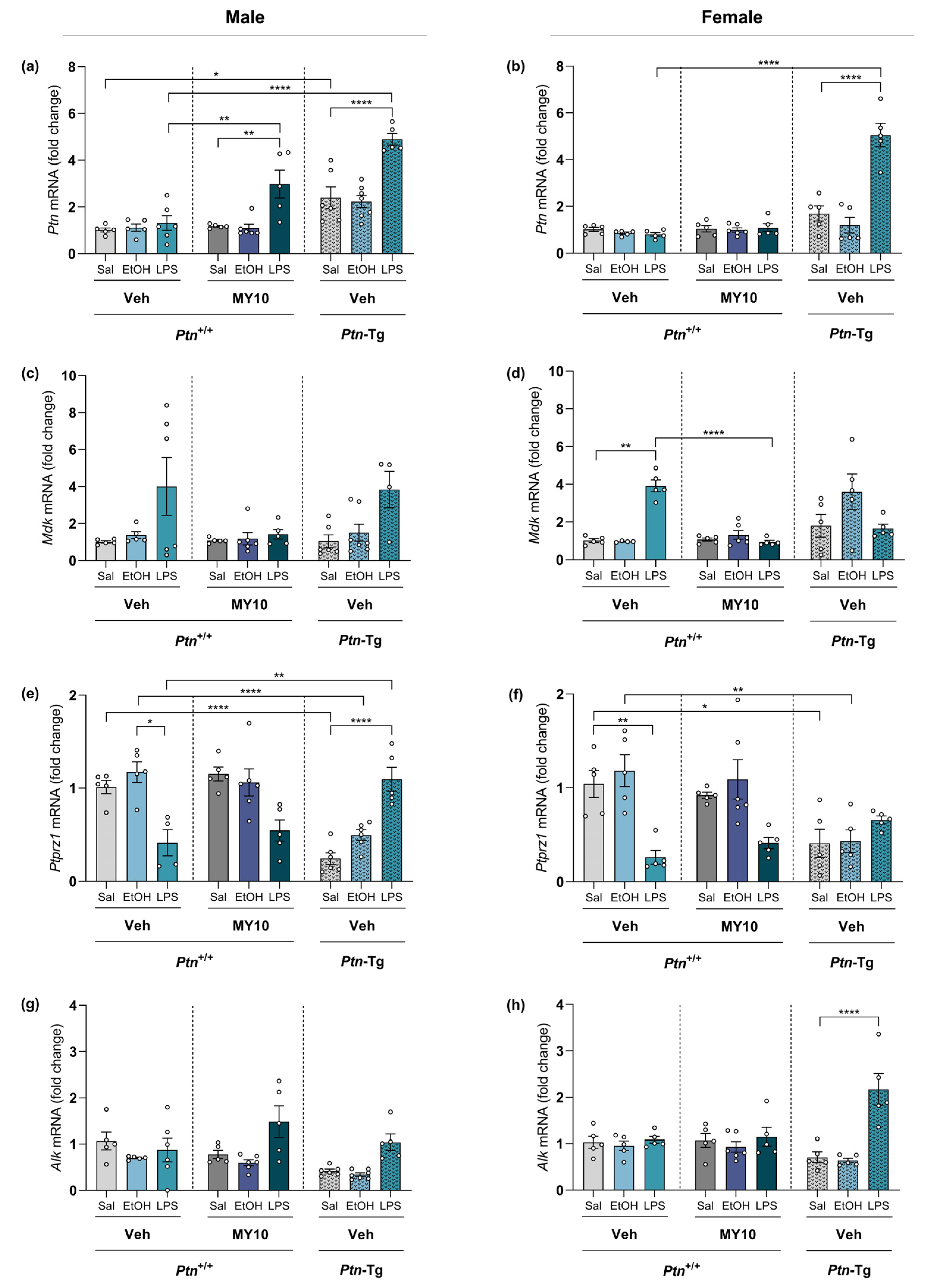 Biomedicines 11 01318 g006 Biomedicines 11 01318 g006