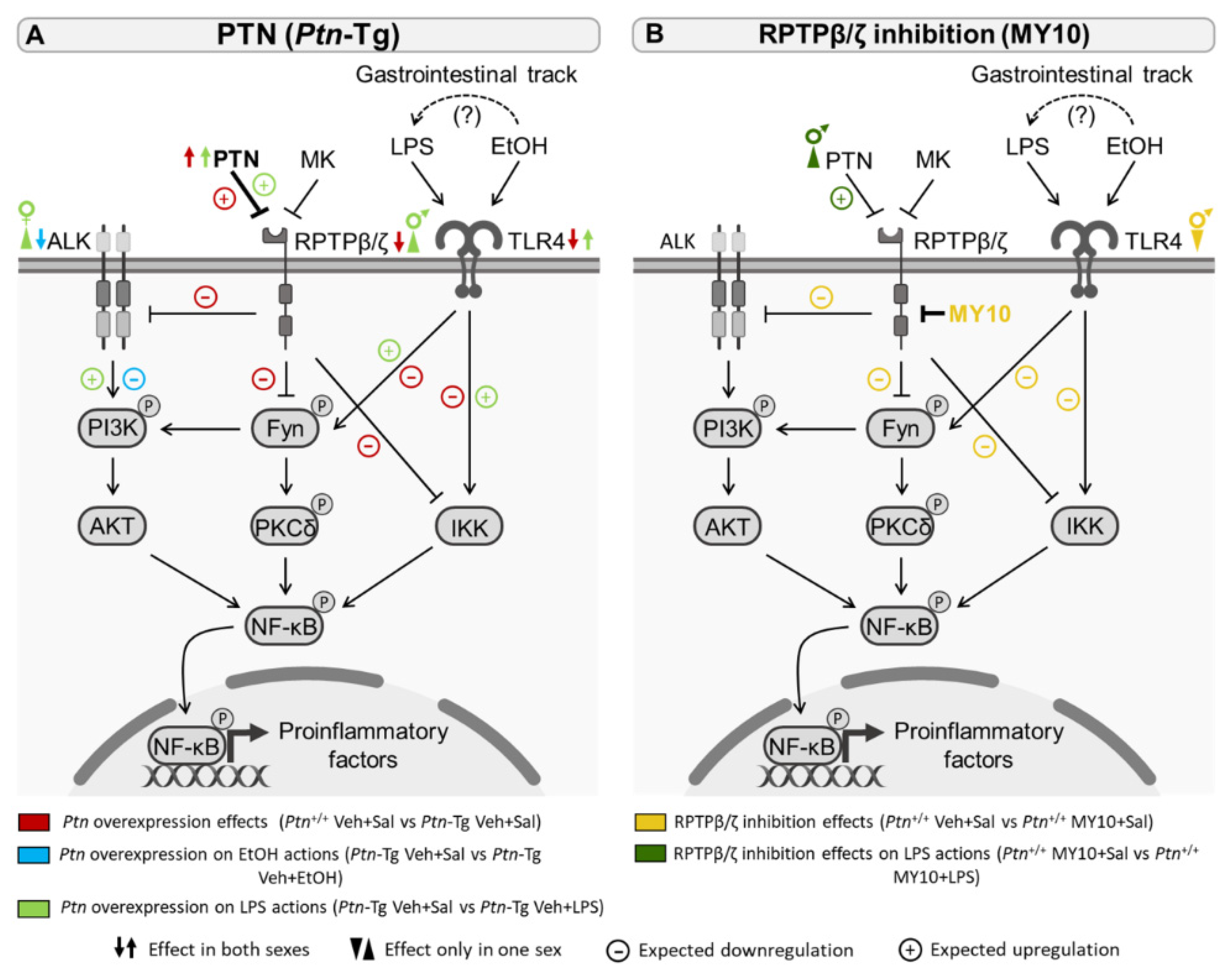 Biomedicines 11 01318 g007 Biomedicines 11 01318 g007