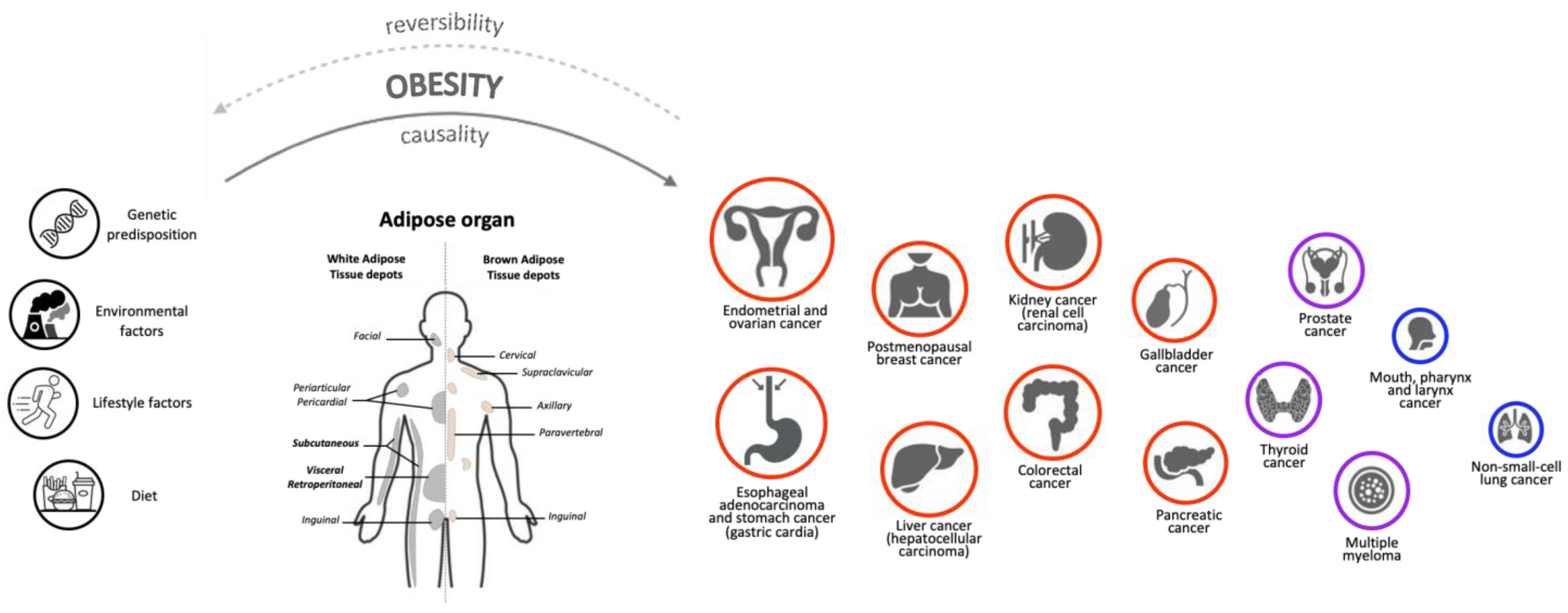 Biomedicines 11 01319 g001 Biomedicines 11 01319 g001