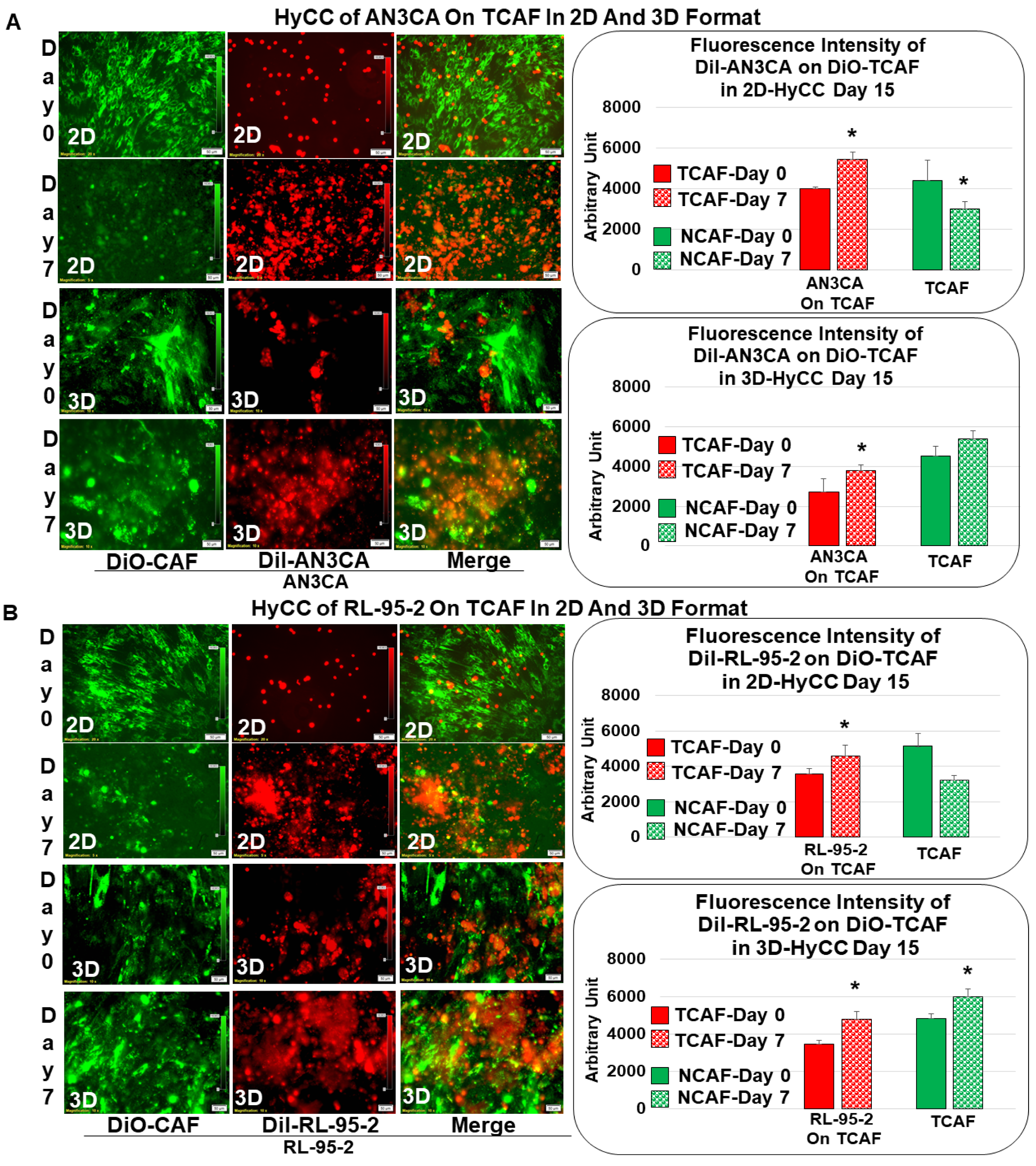 Biomedicines 11 01326 g004