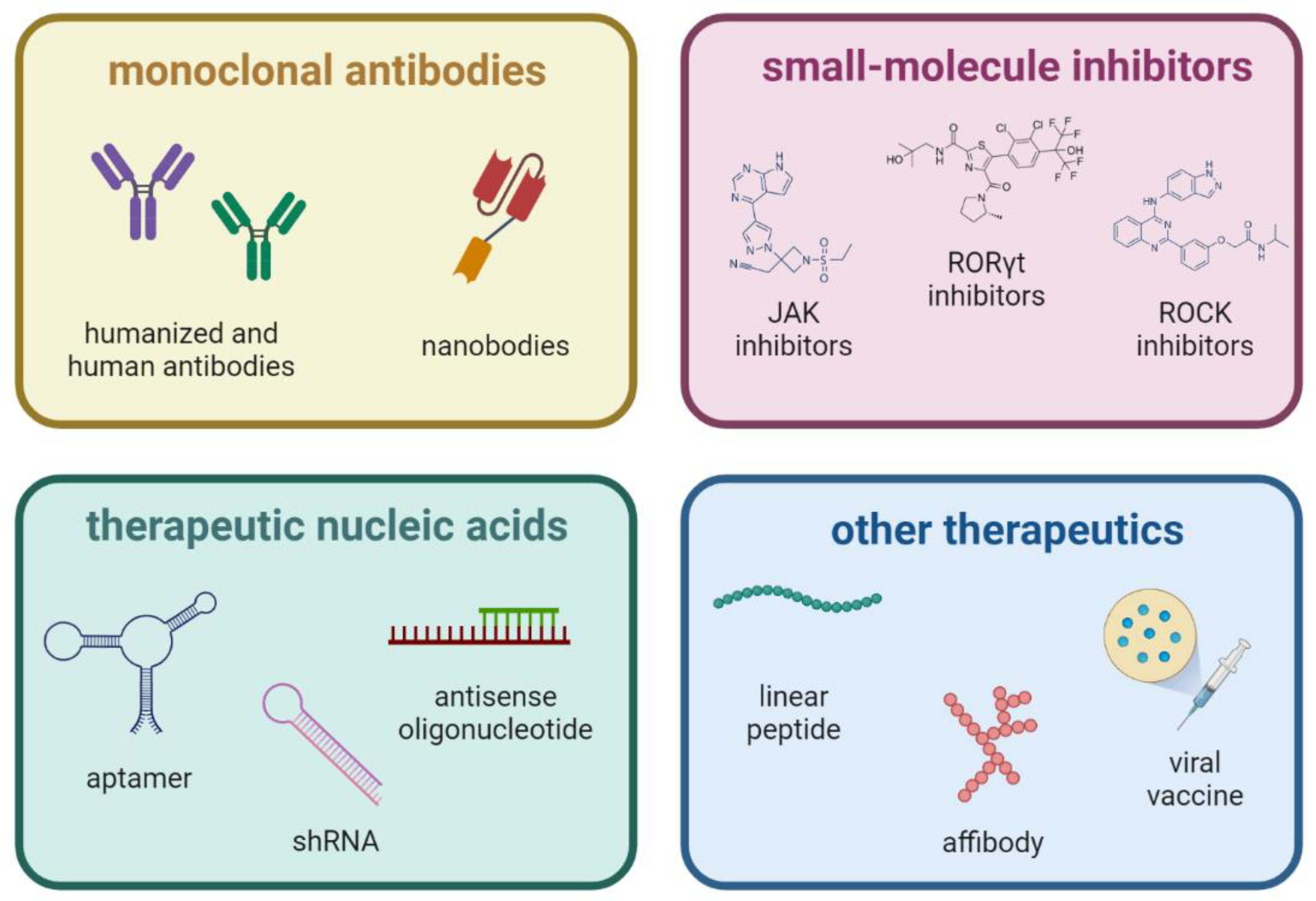 Biomedicines 11 01328 g001