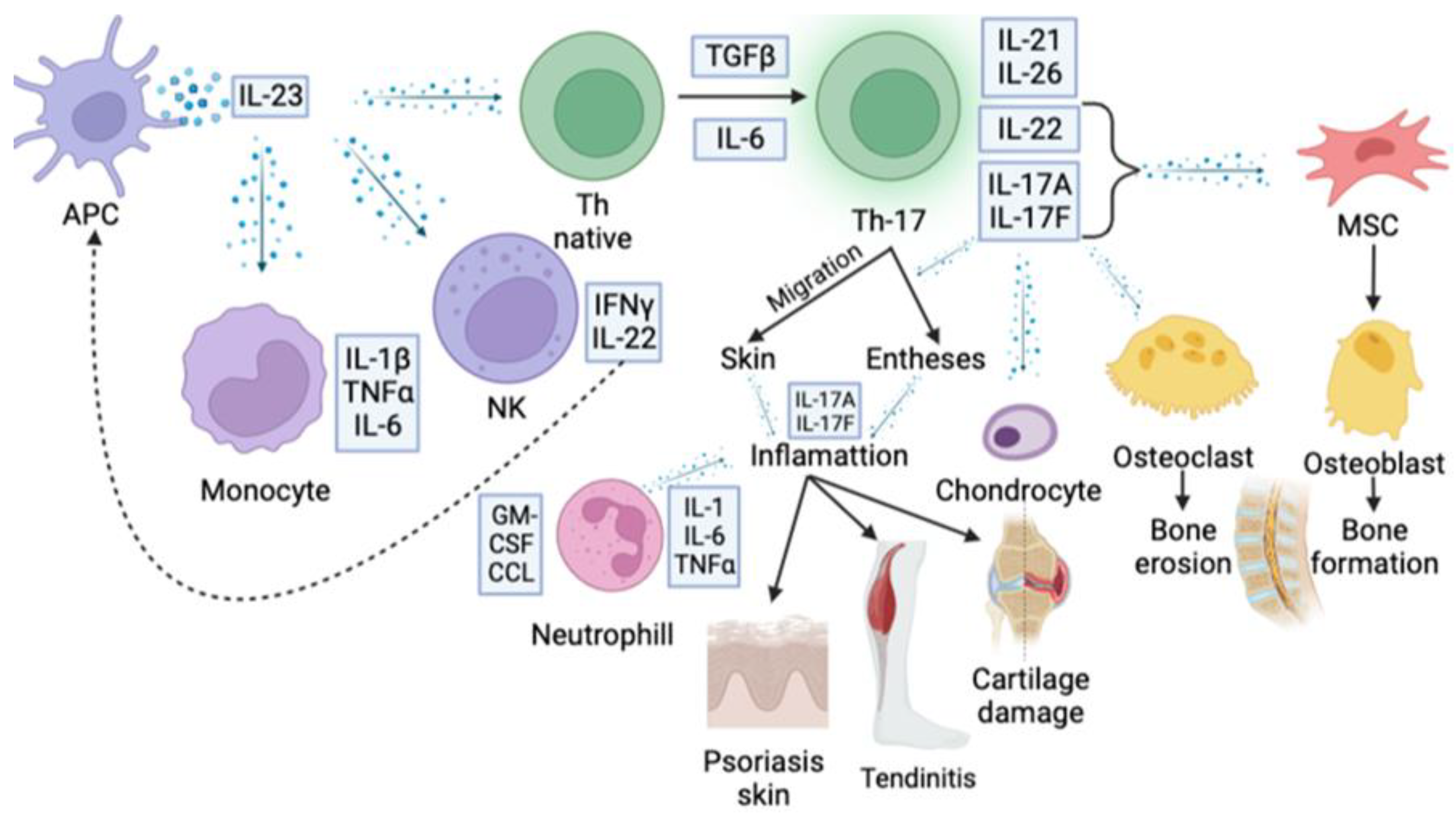 Biomedicines 11 01328 g002
