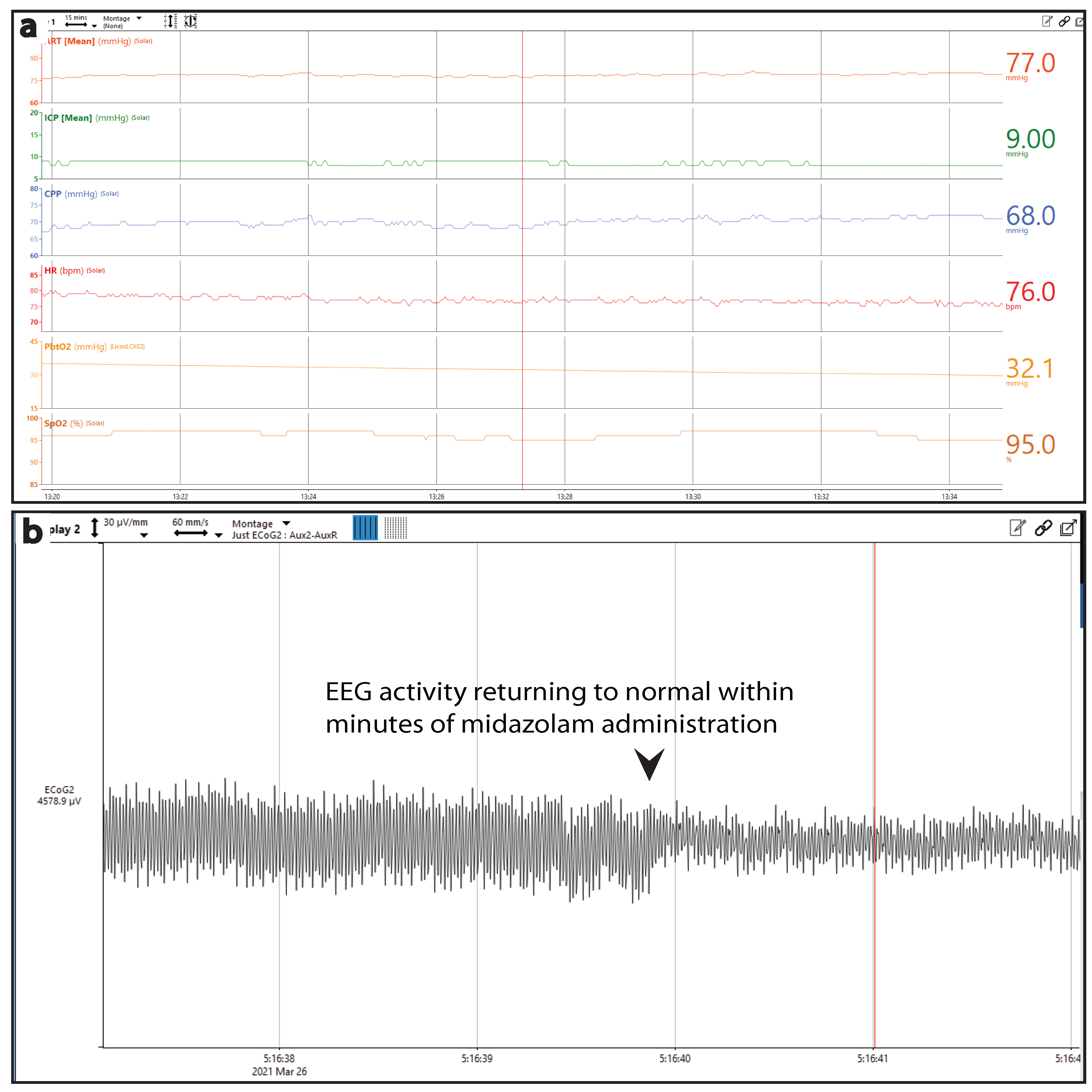 Biomedicines 11 01336 g007