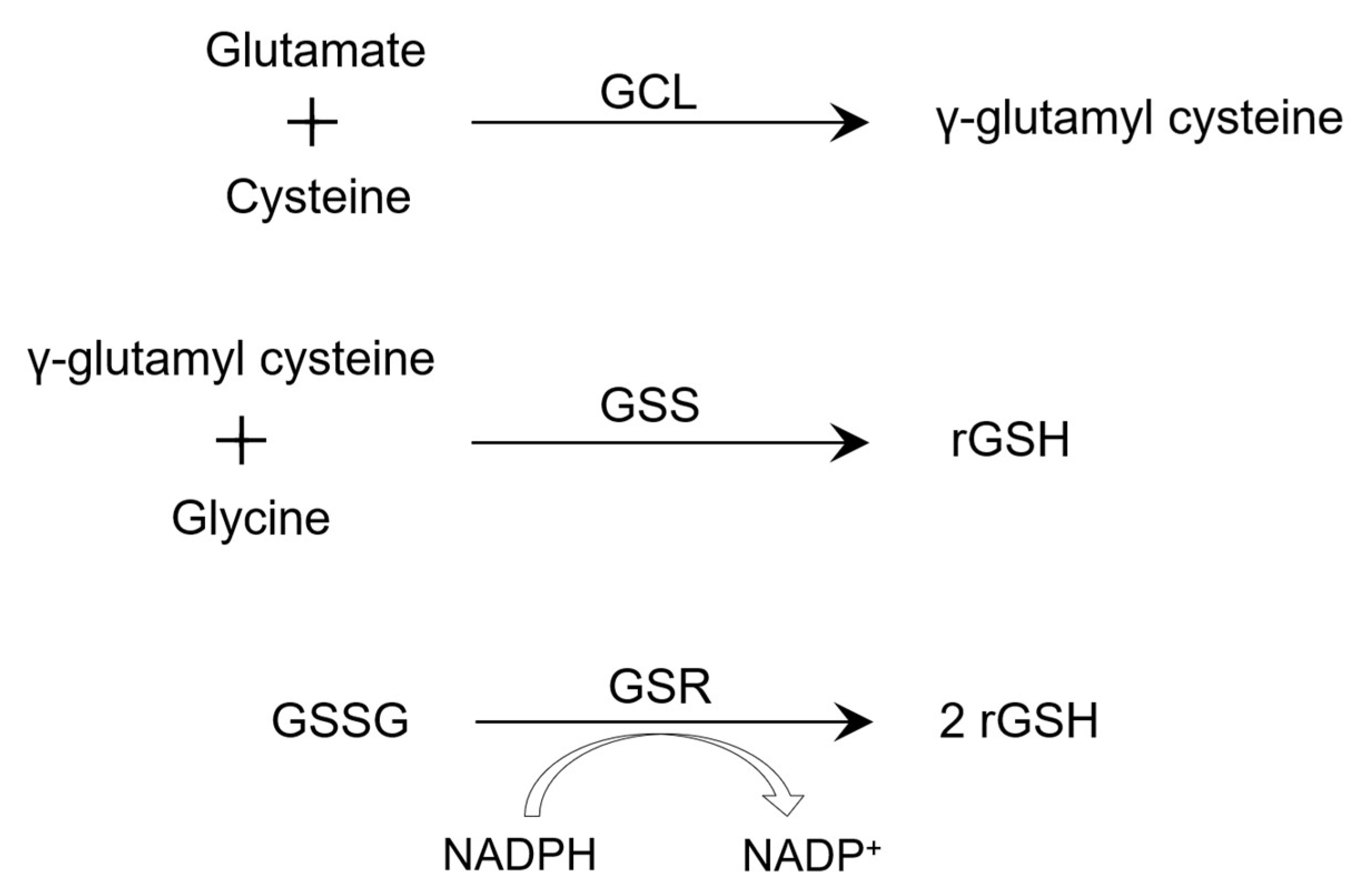 Biomedicines 11 01340 g001 Biomedicines 11 01340 g001