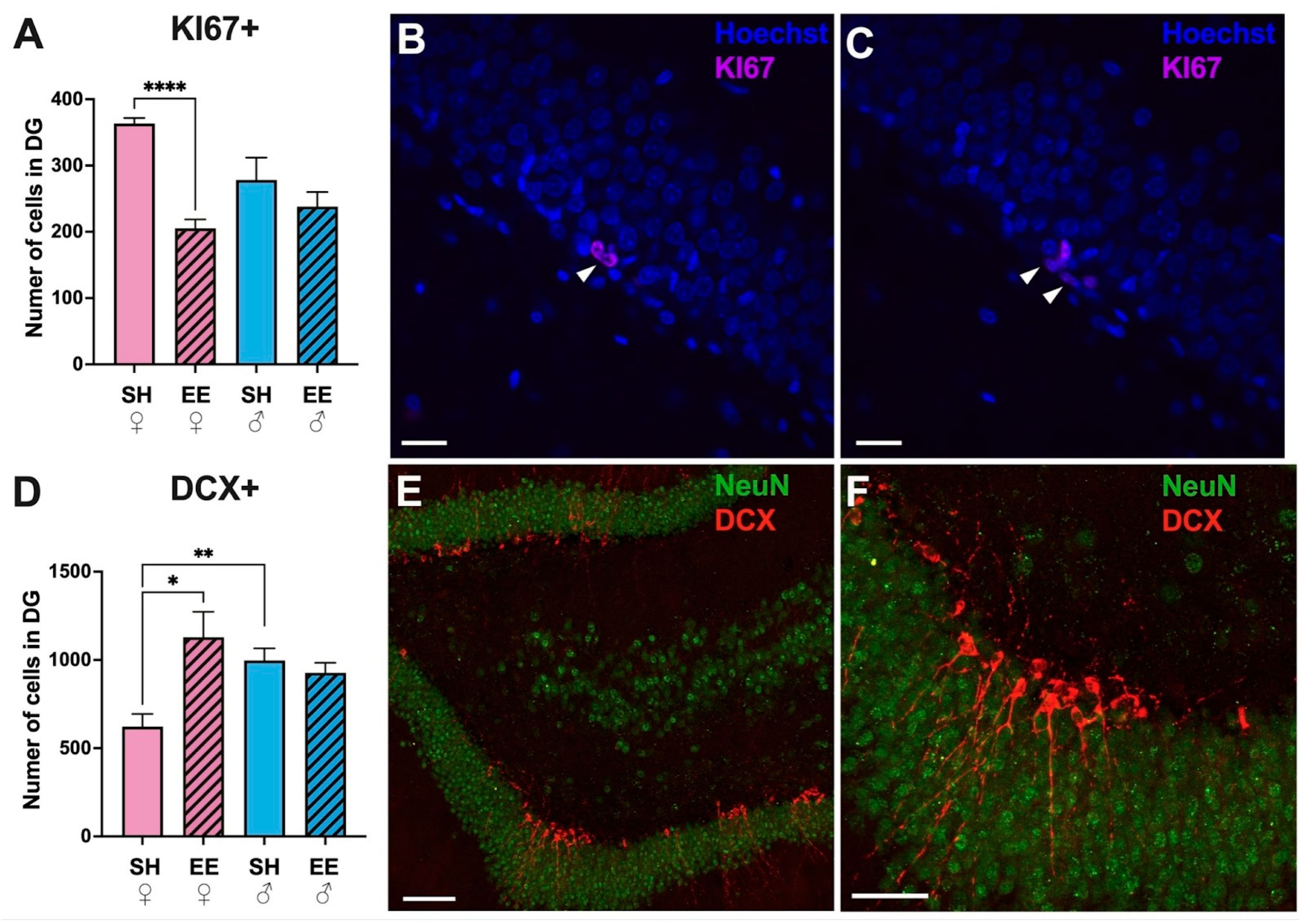 Biomedicines 11 01341 g006
