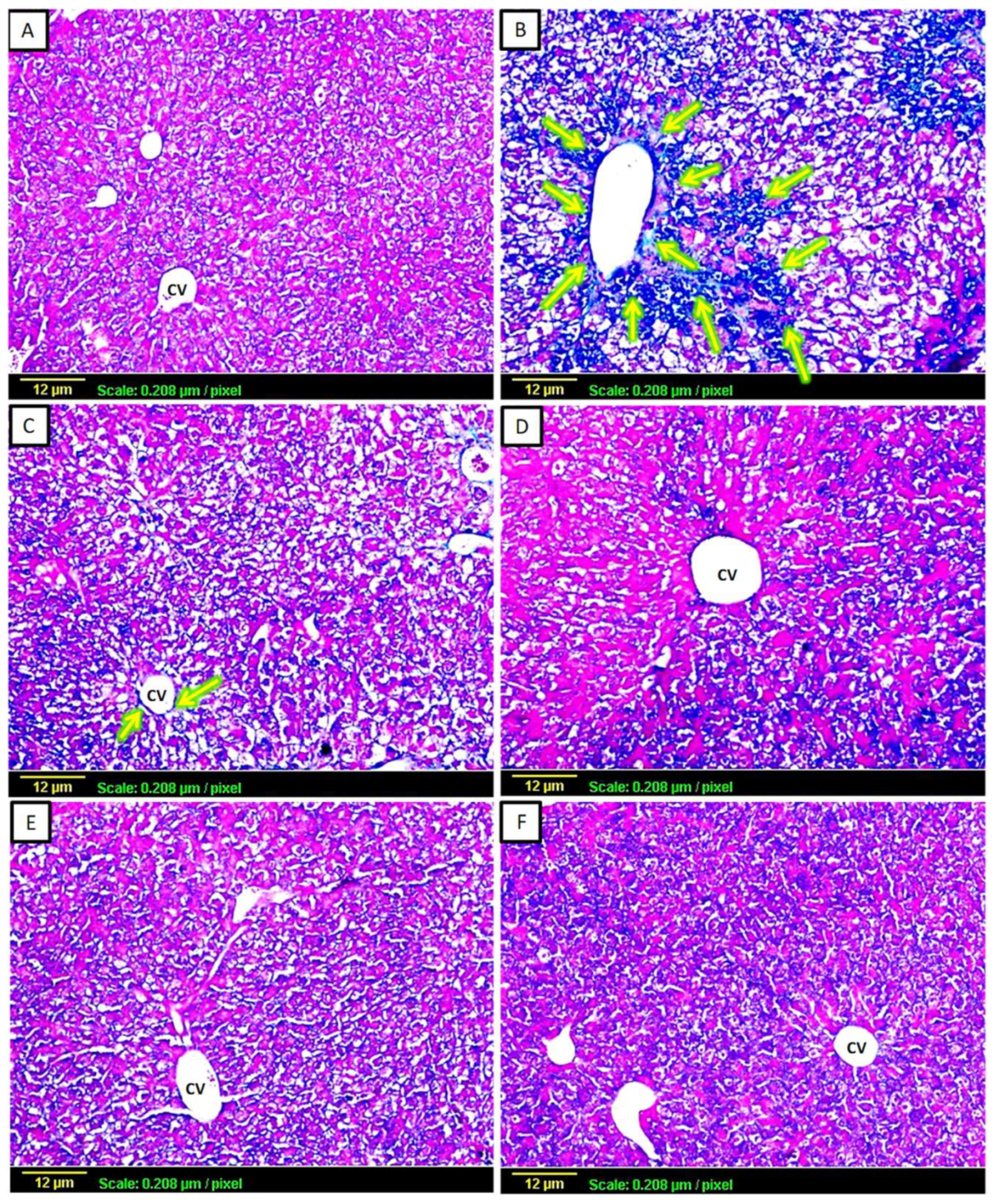 Biomedicines 11 01342 g002